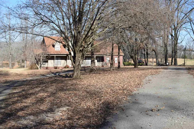 a view of a yard with a tree