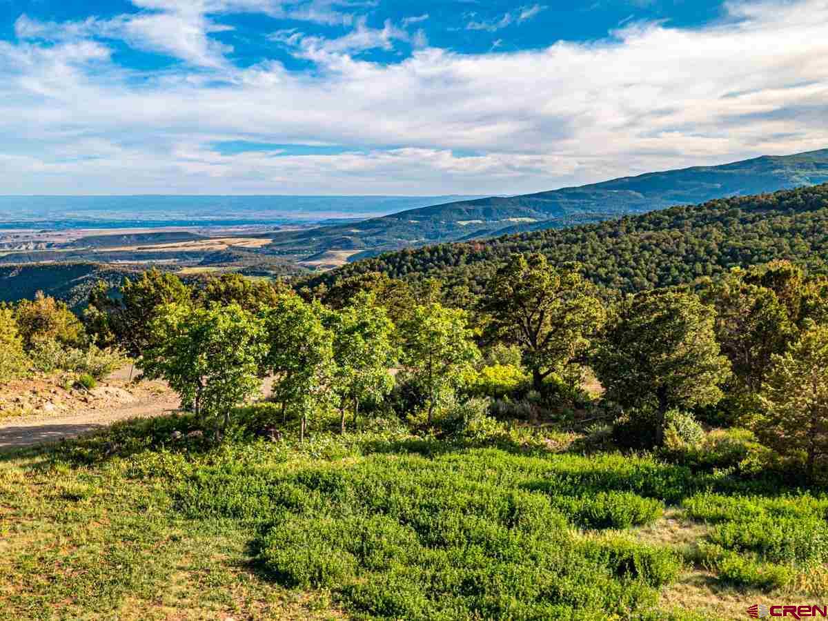 20101 Squirrel Rock Road Cedaredge, CO 81413 - Photo 8 of 29