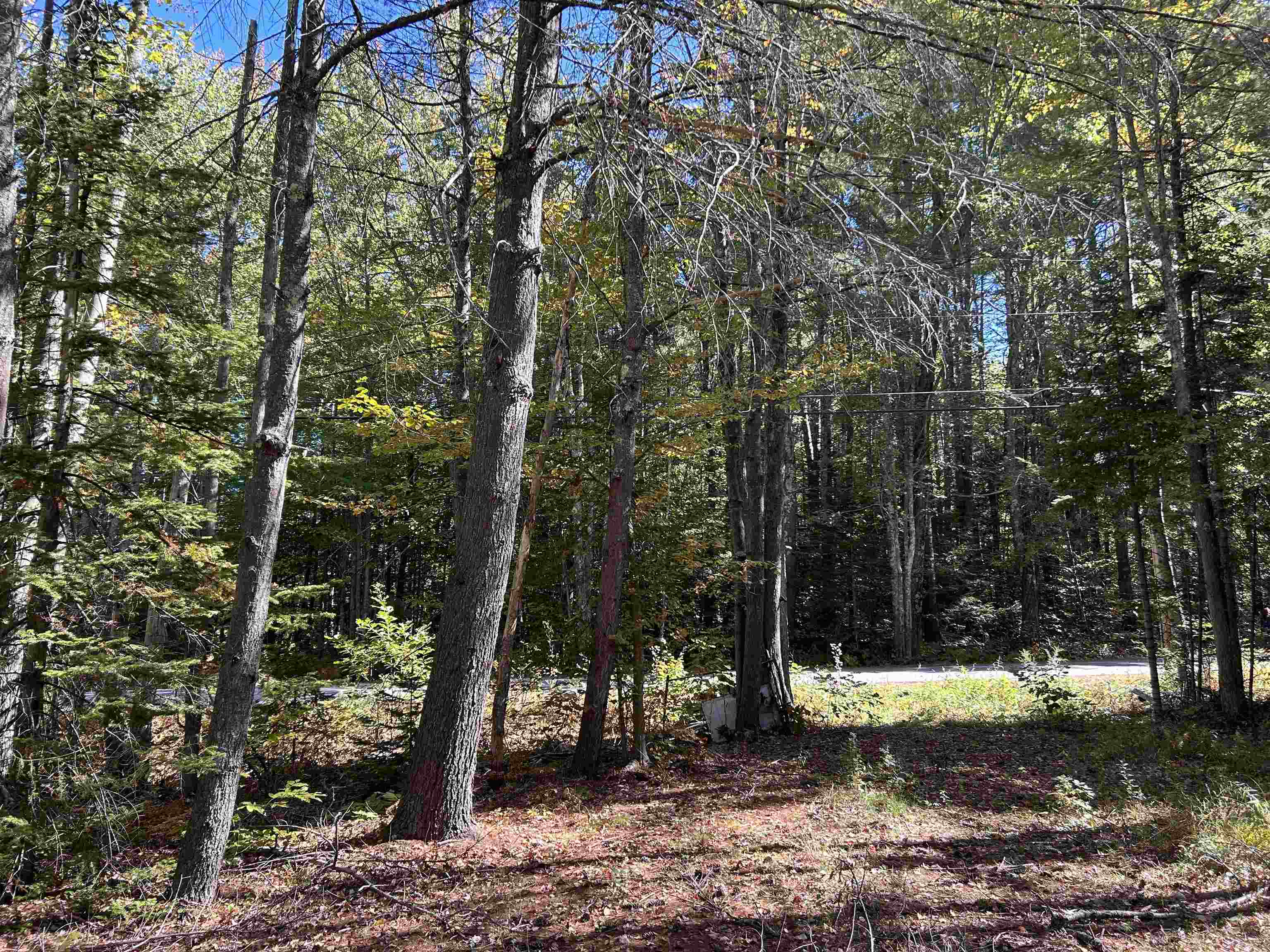 Birch Hill Road New Durham, NH 03855 - Photo 11 of 13