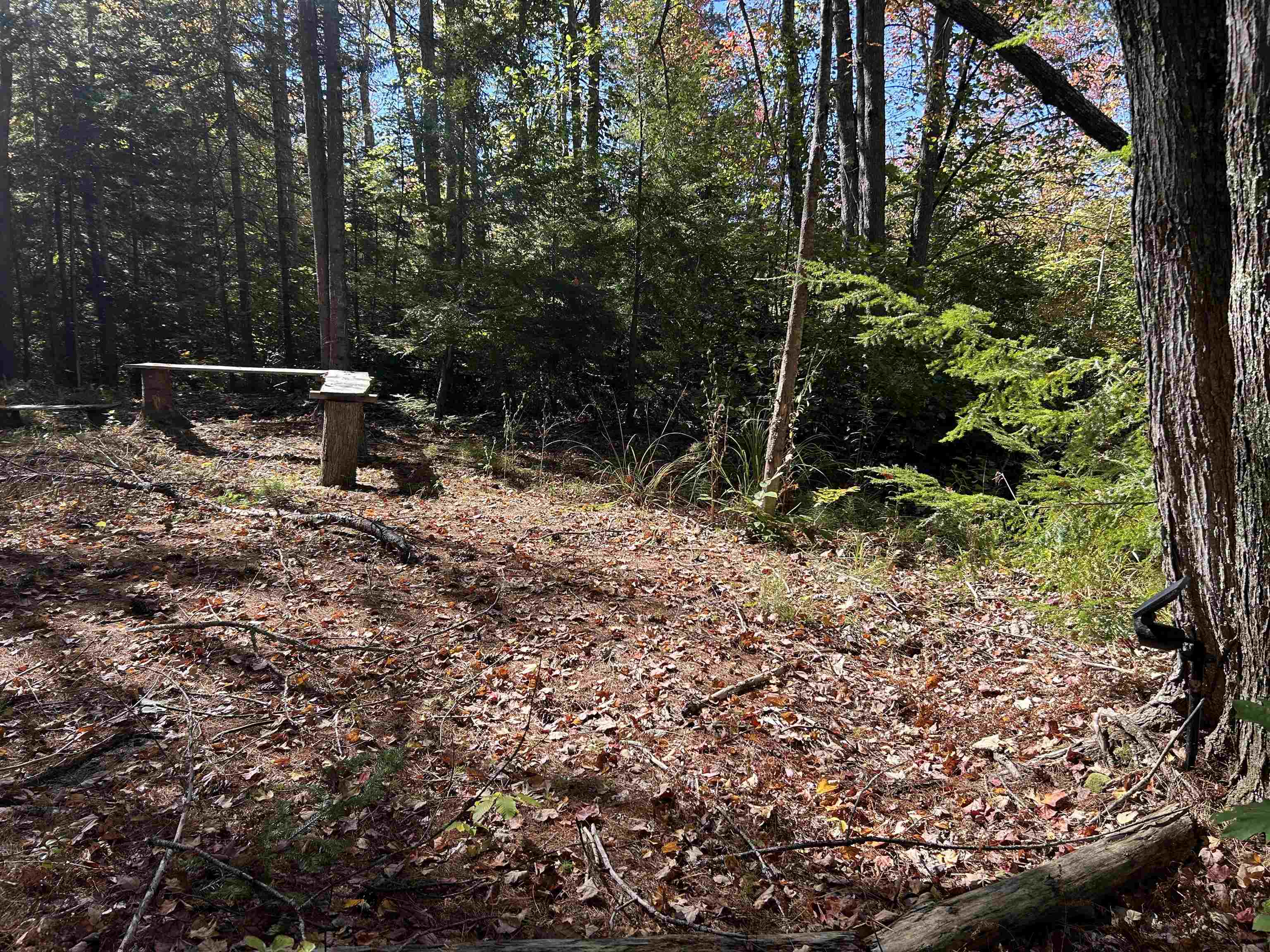 Birch Hill Road New Durham, NH 03855 - Photo 13 of 13