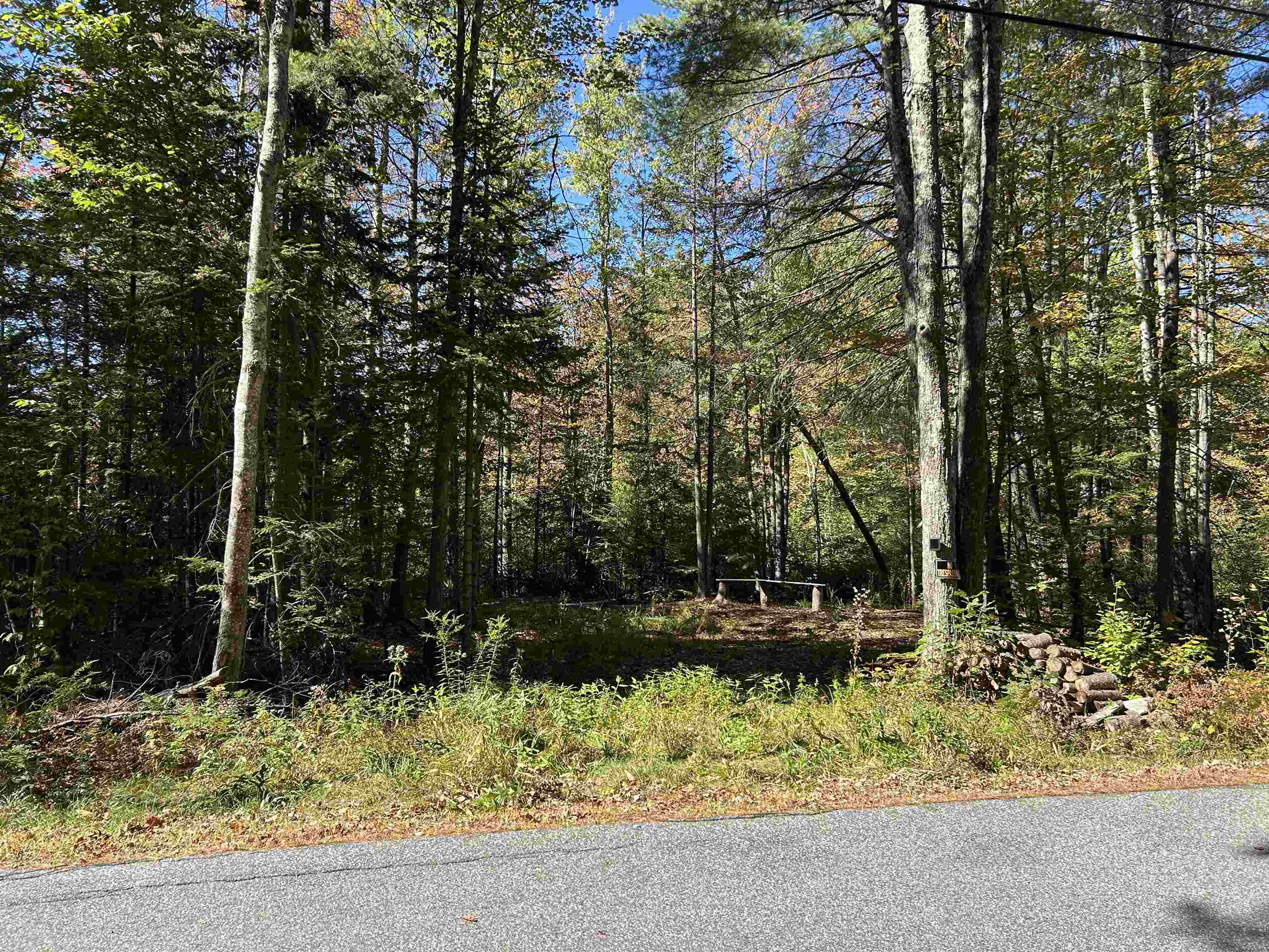 Birch Hill Road New Durham, NH 03855 - Photo 2 of 13