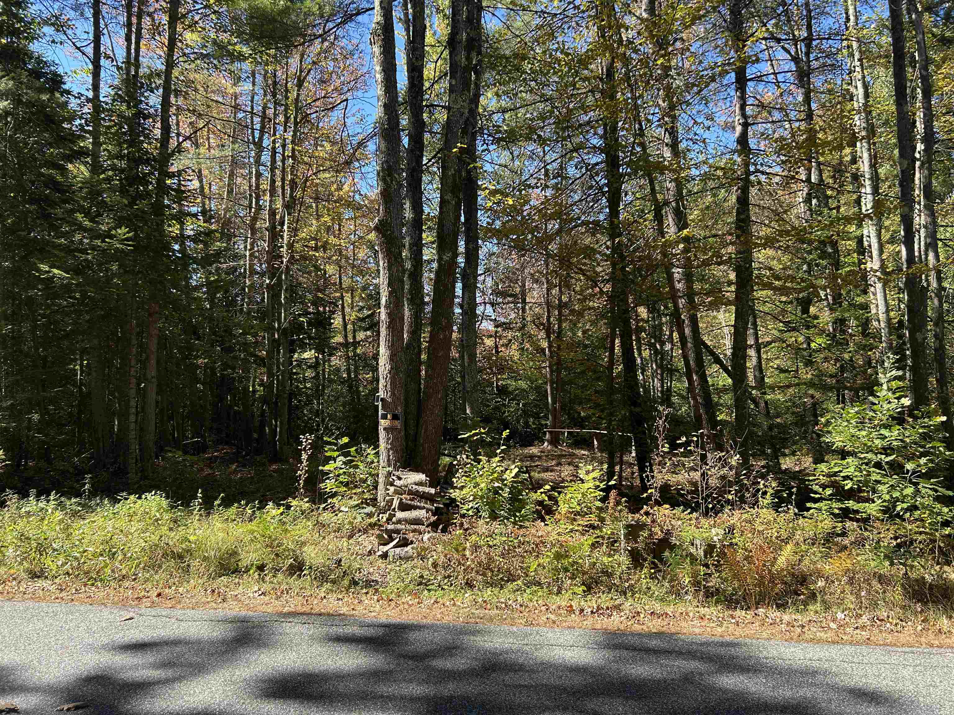 Birch Hill Road New Durham, NH 03855 - Photo 3 of 13