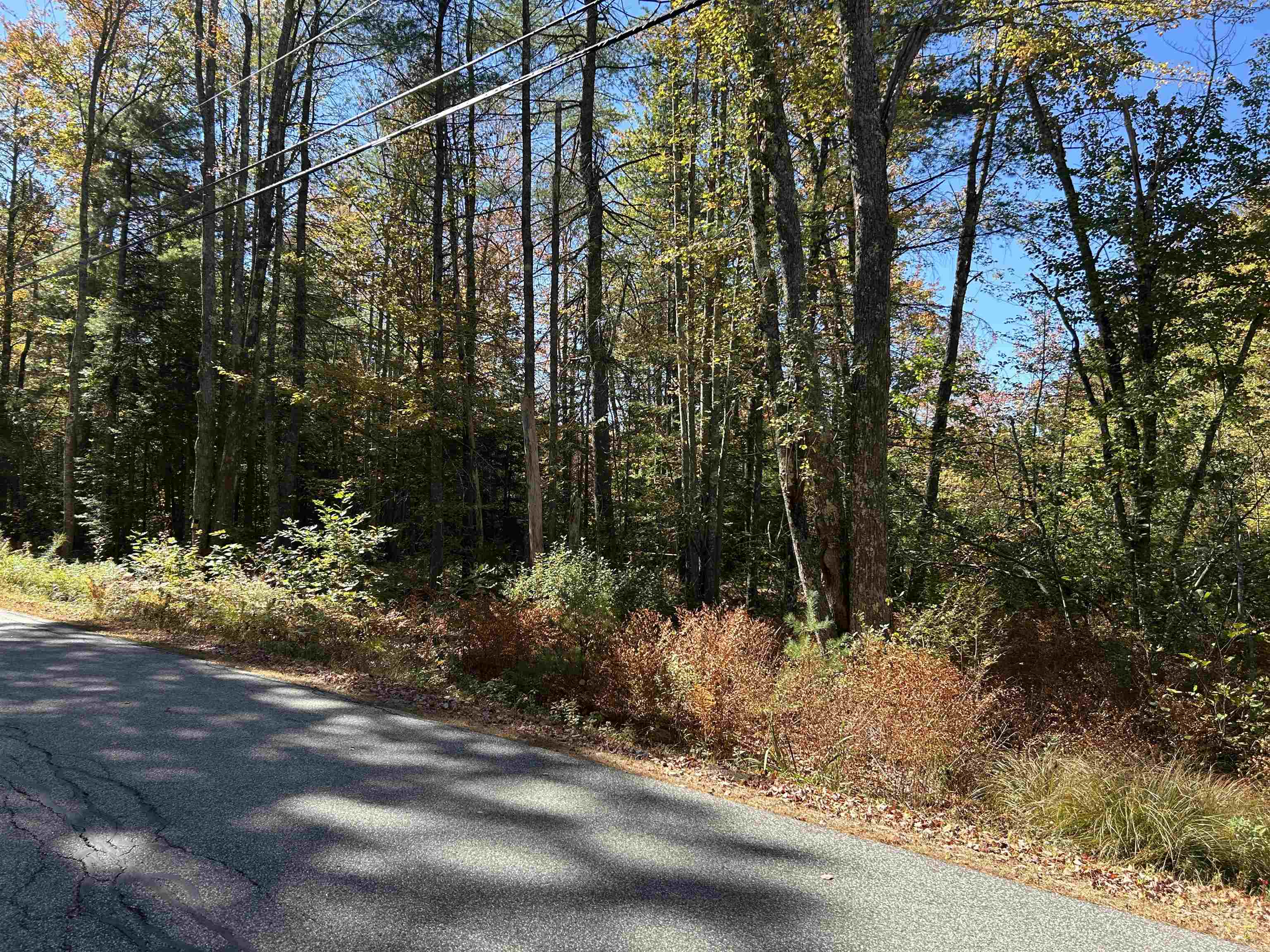 Birch Hill Road New Durham, NH 03855 - Photo 4 of 13