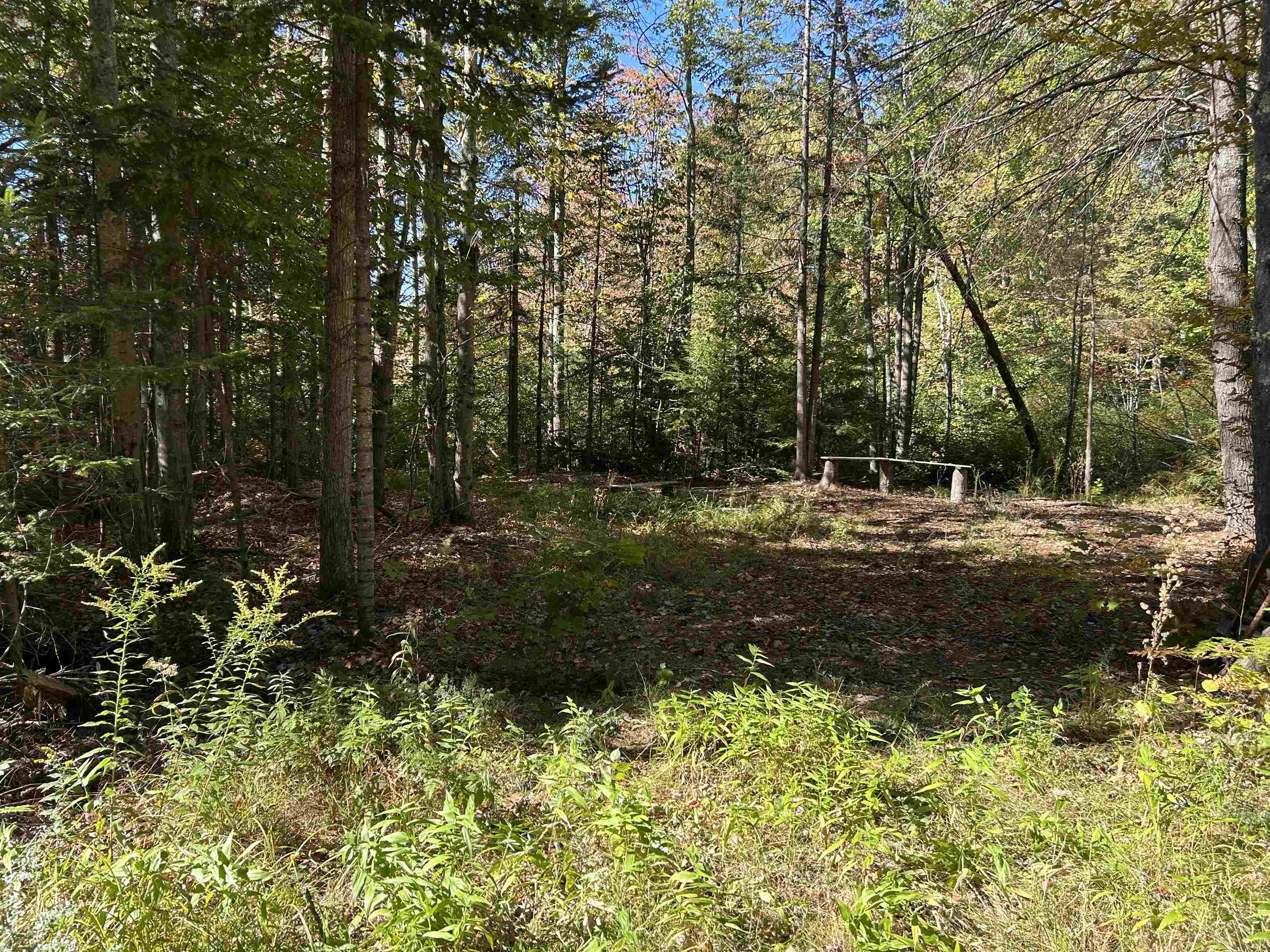 Birch Hill Road New Durham, NH 03855 - Photo 5 of 13