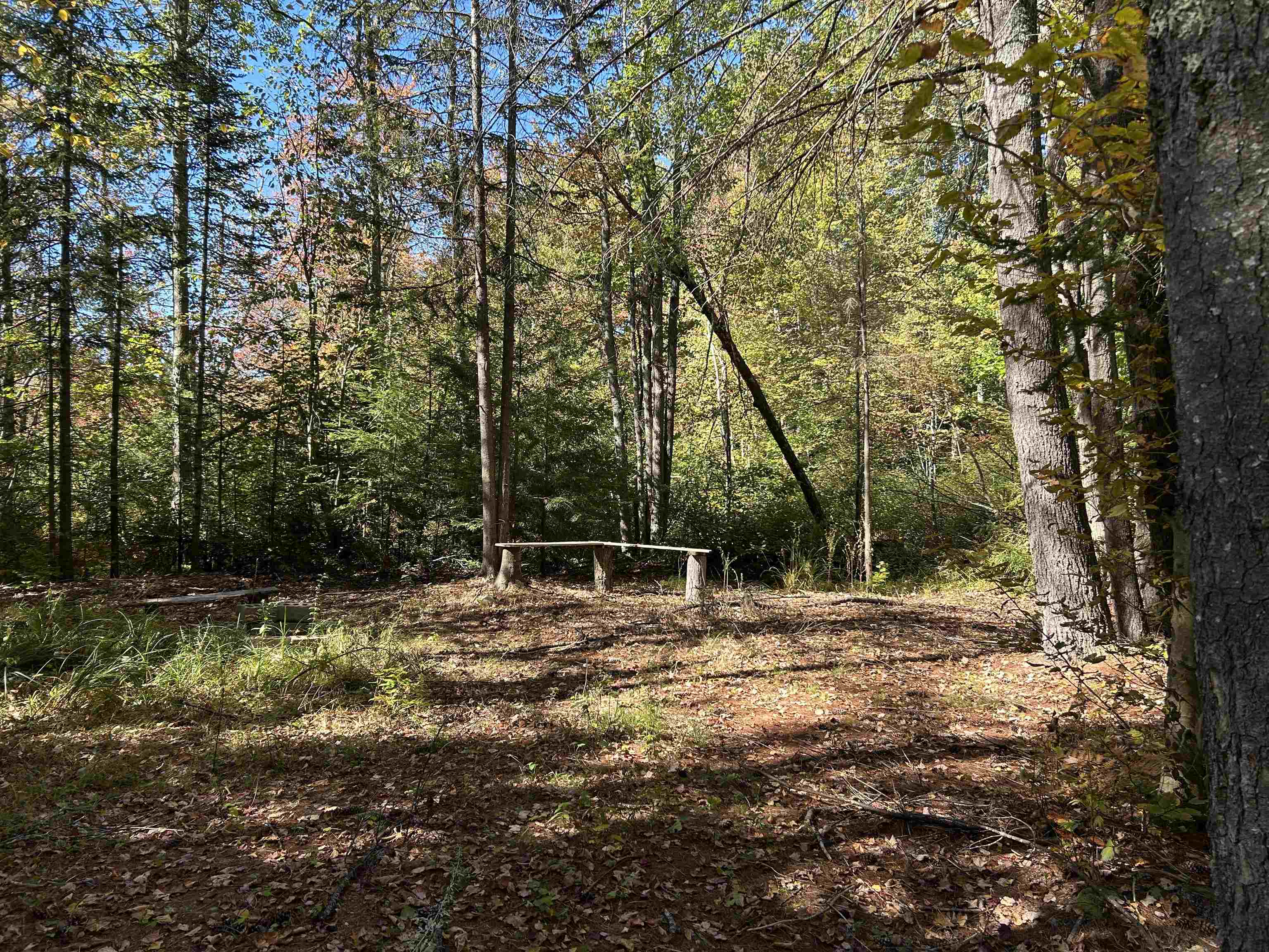 Birch Hill Road New Durham, NH 03855 - Photo 6 of 13