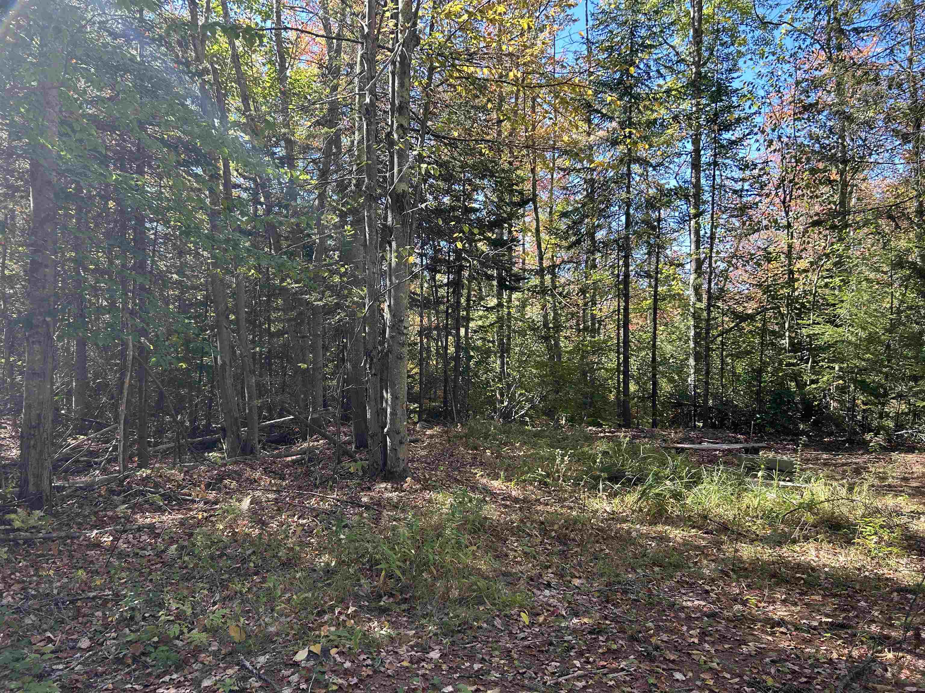 Birch Hill Road New Durham, NH 03855 - Photo 7 of 13