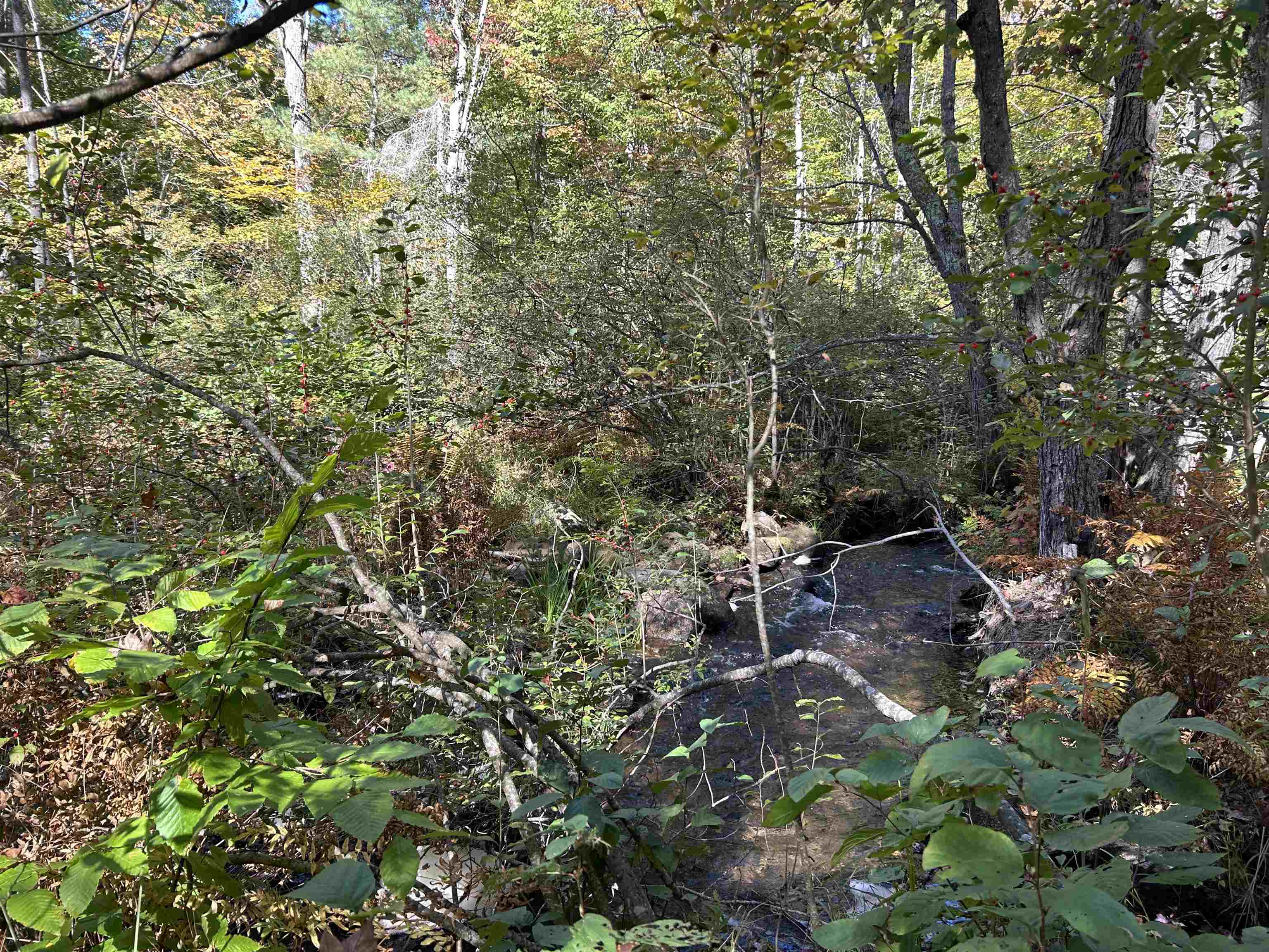 Birch Hill Road New Durham, NH 03855 - Photo 8 of 13