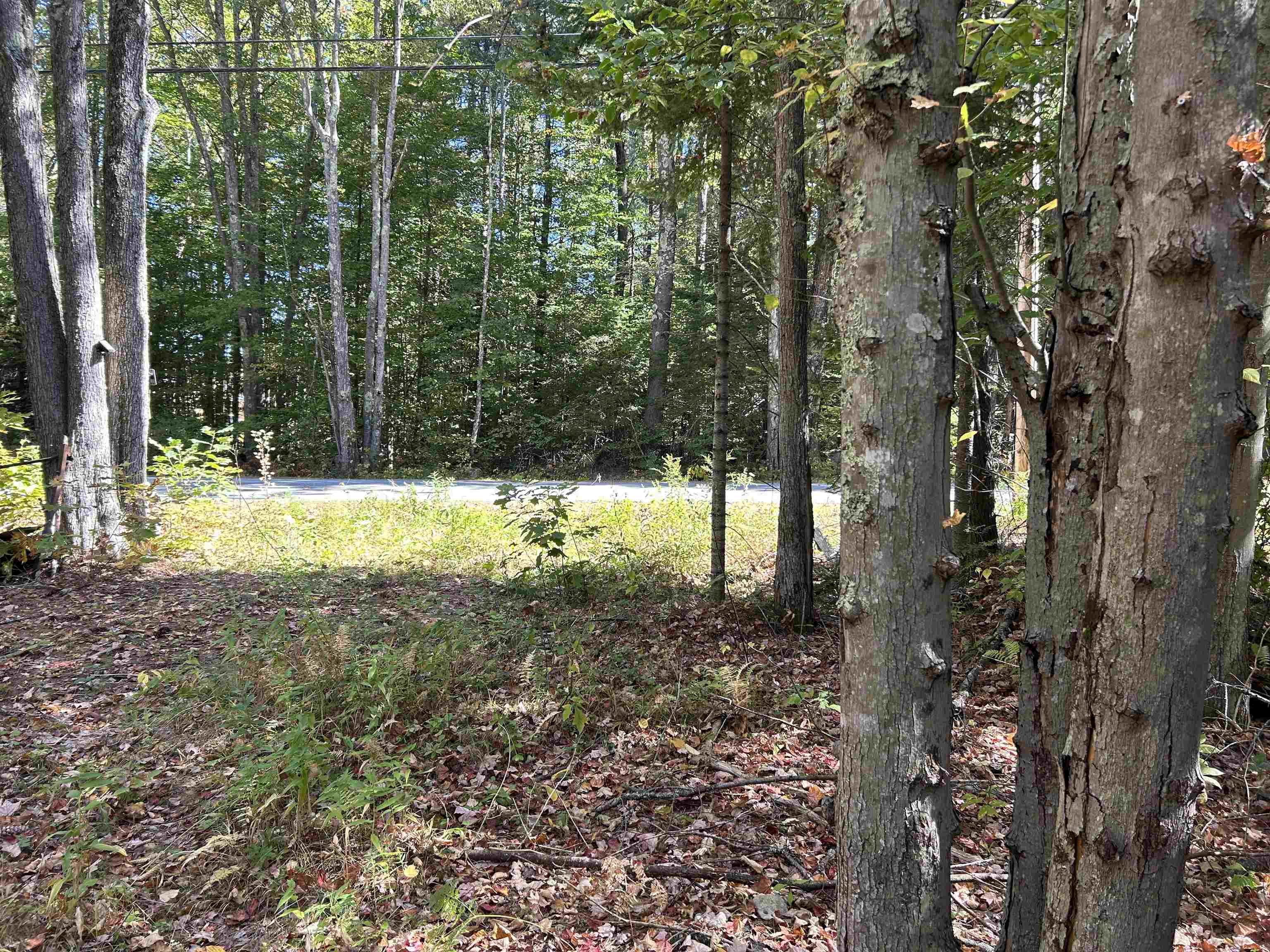 Birch Hill Road New Durham, NH 03855 - Photo 9 of 13