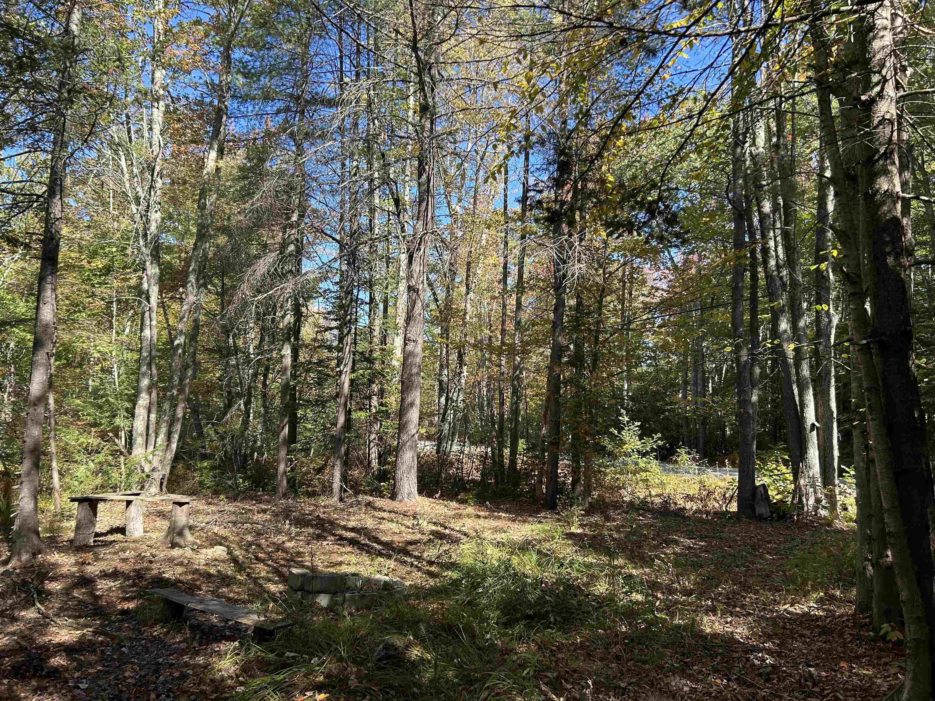 Birch Hill Road New Durham, NH 03855 - Photo 10 of 13