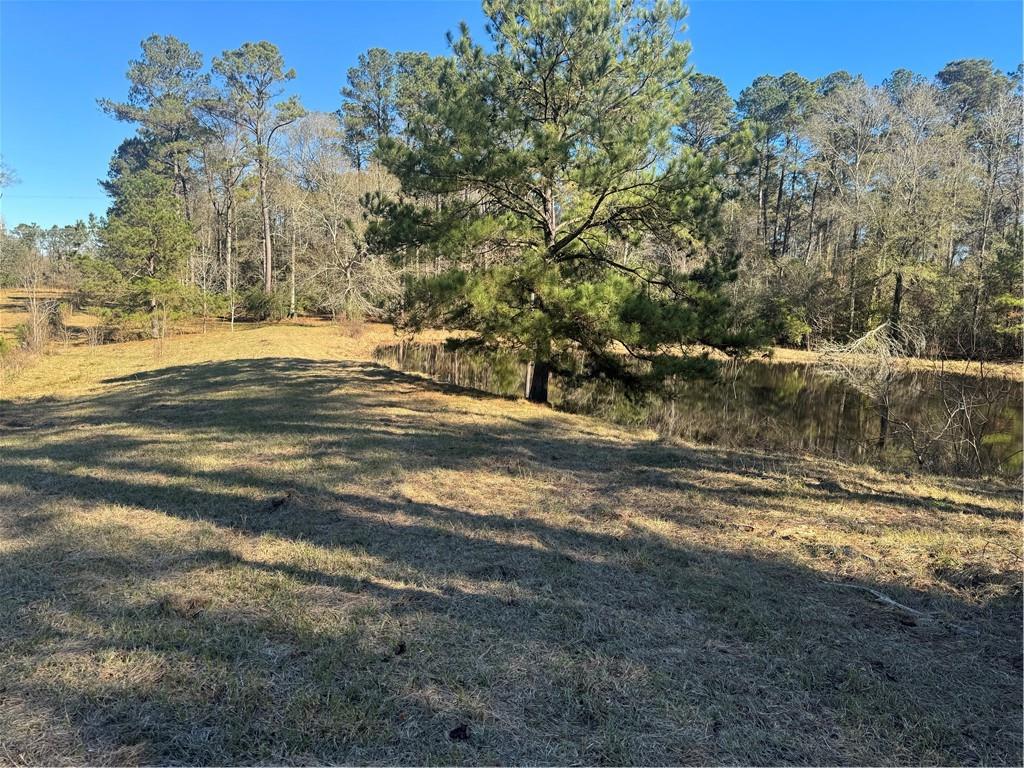 0 Rohner Road Amite, LA 70422 - Photo 1 of 9 Gallery Image 1