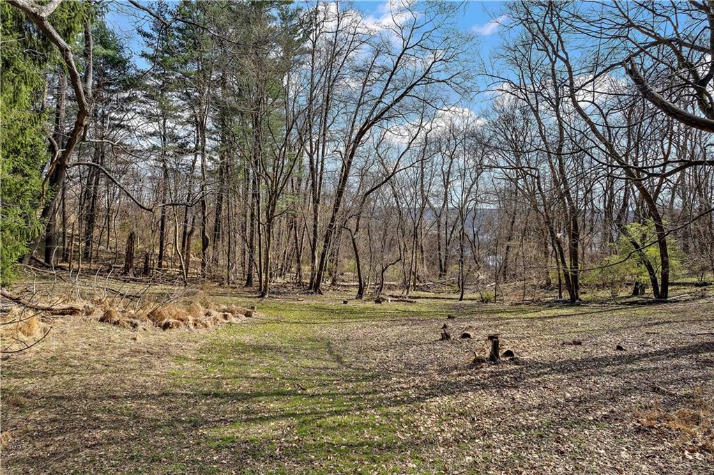 401 Redgate Road Sewickley, PA 15143 - Photo 47 of 50 a view of a yard with a tree