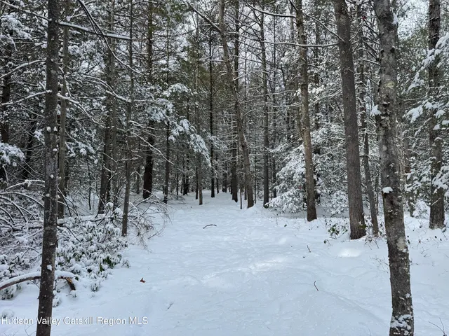 a view of a snow with trees in the background