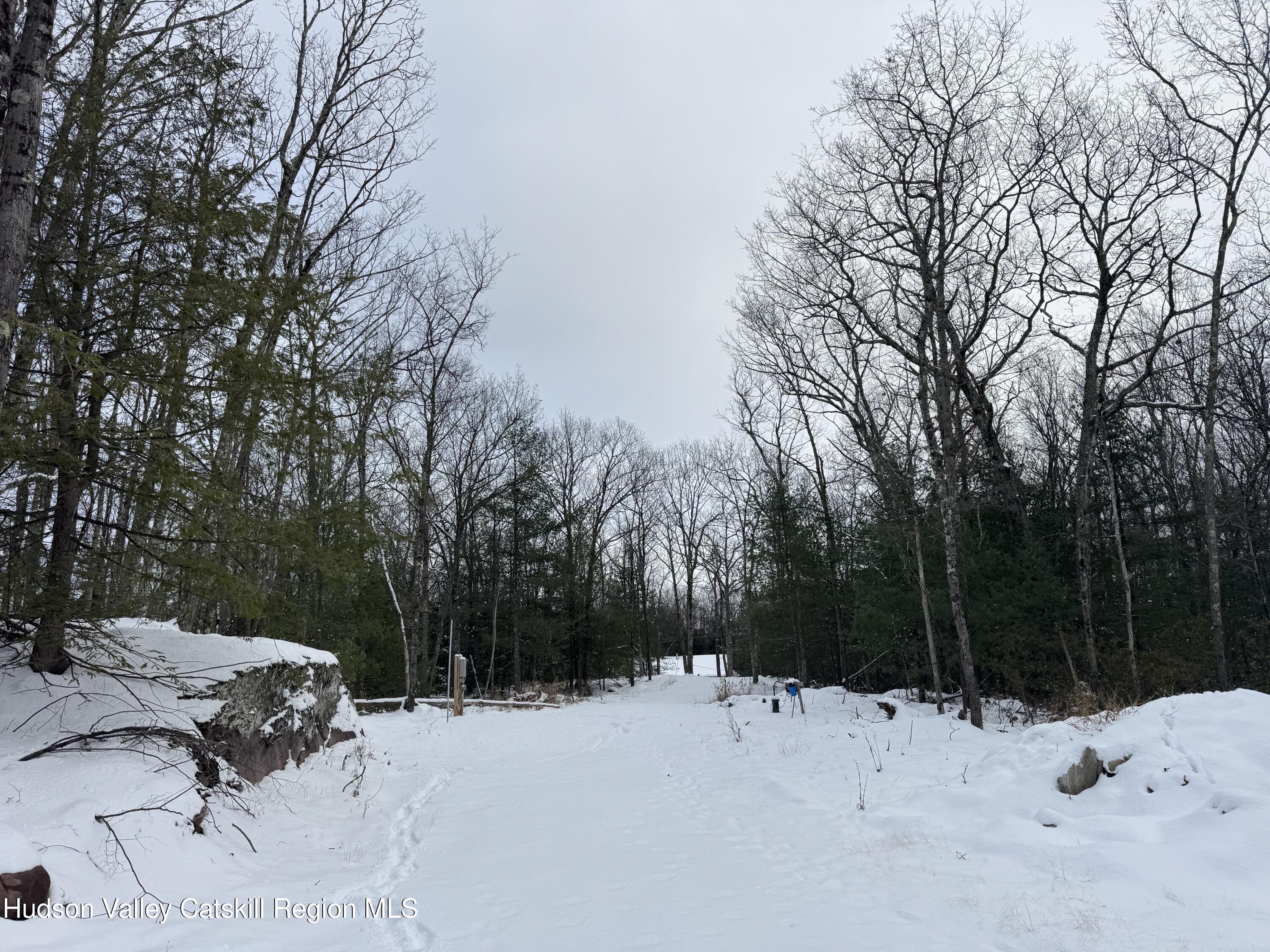 171 Renner Road Mountain Dale, NY 12763 - Photo 11 of 20 a view of a snow with a yard