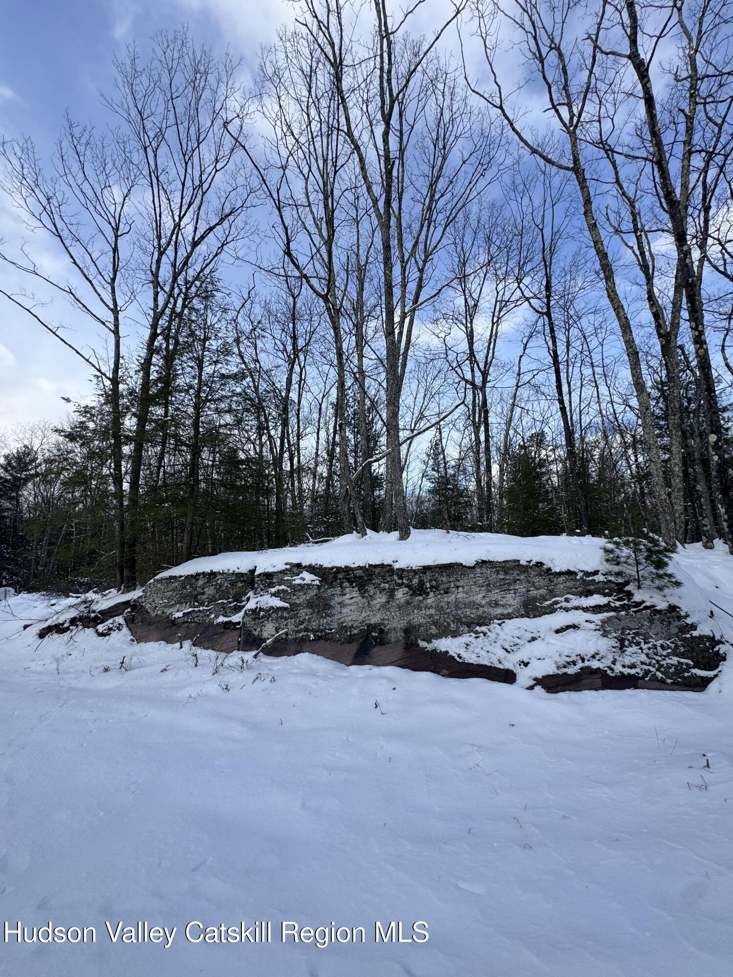 171 Renner Road Mountain Dale, NY 12763 - Photo 12 of 20 a view of outdoor space and yard