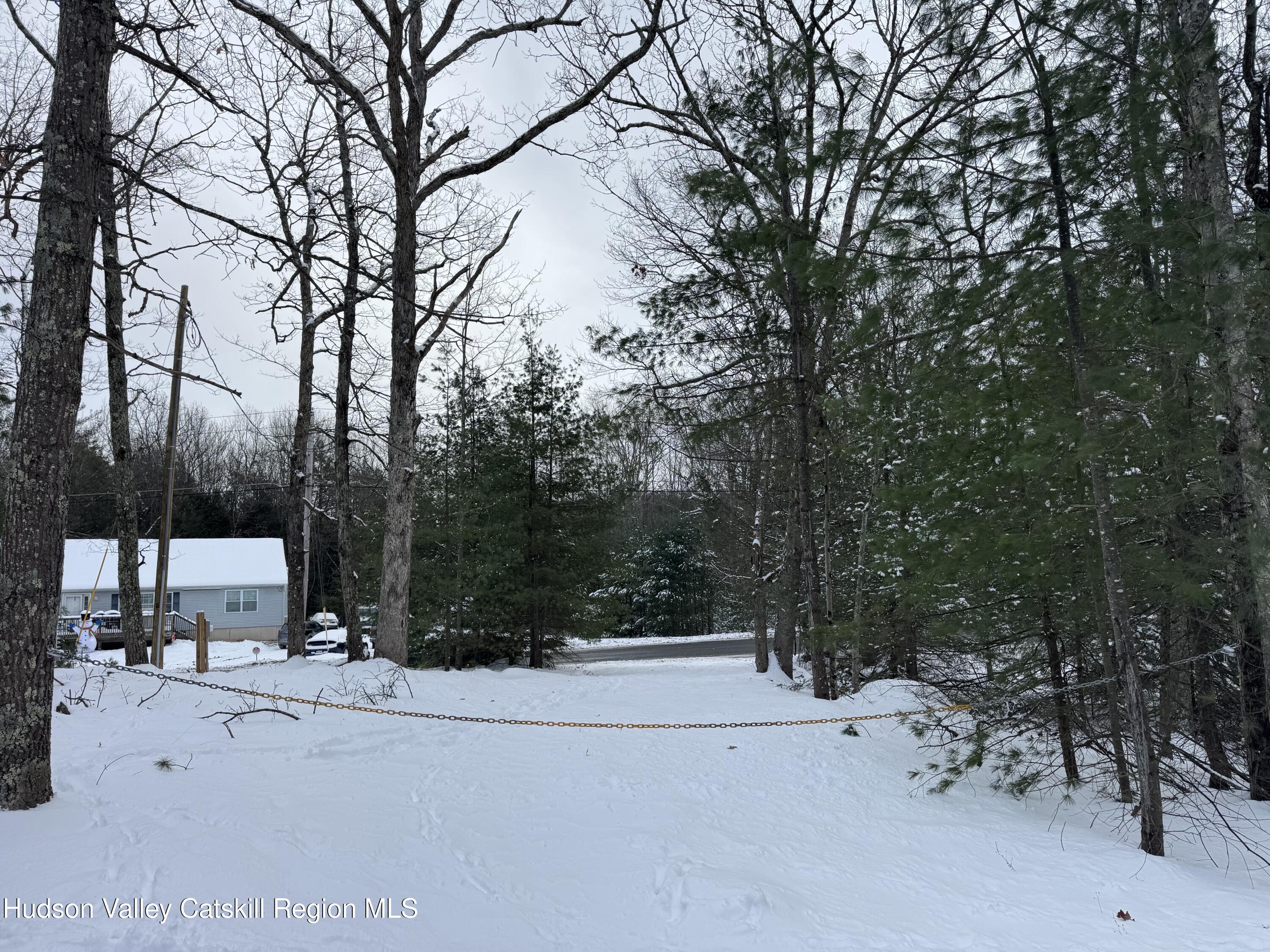 171 Renner Road Mountain Dale, NY 12763 - Photo 13 of 20 a view of backyard with a car parked