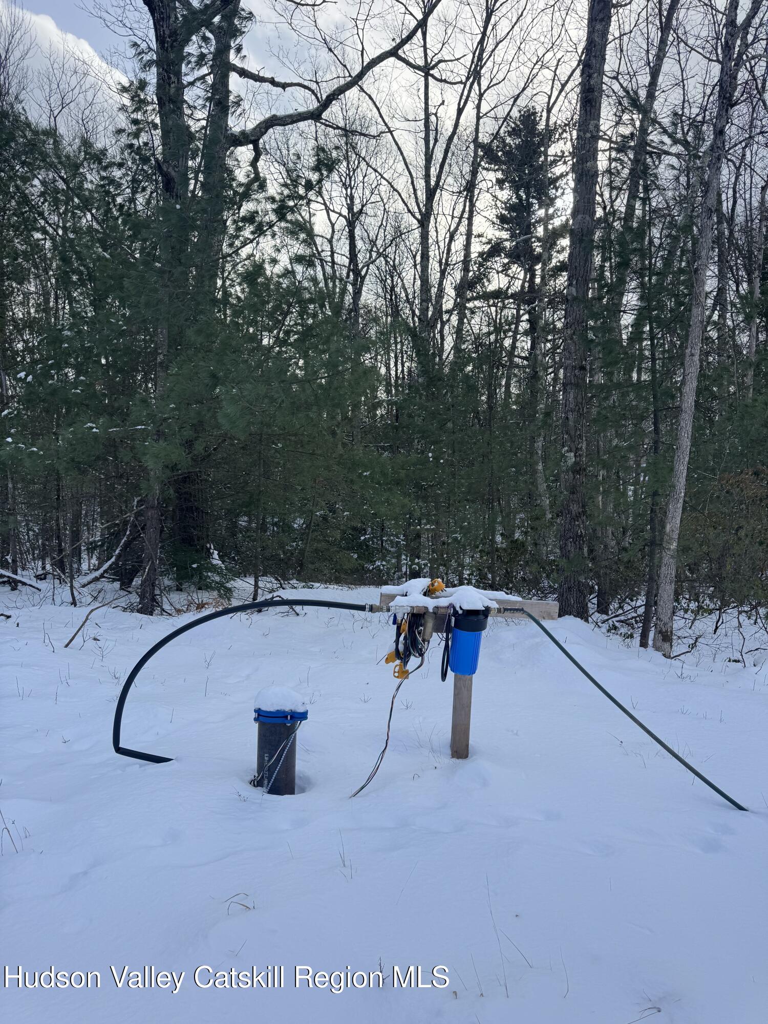 171 Renner Road Mountain Dale, NY 12763 - Photo 15 of 20 a view of a swimming pool with a yard