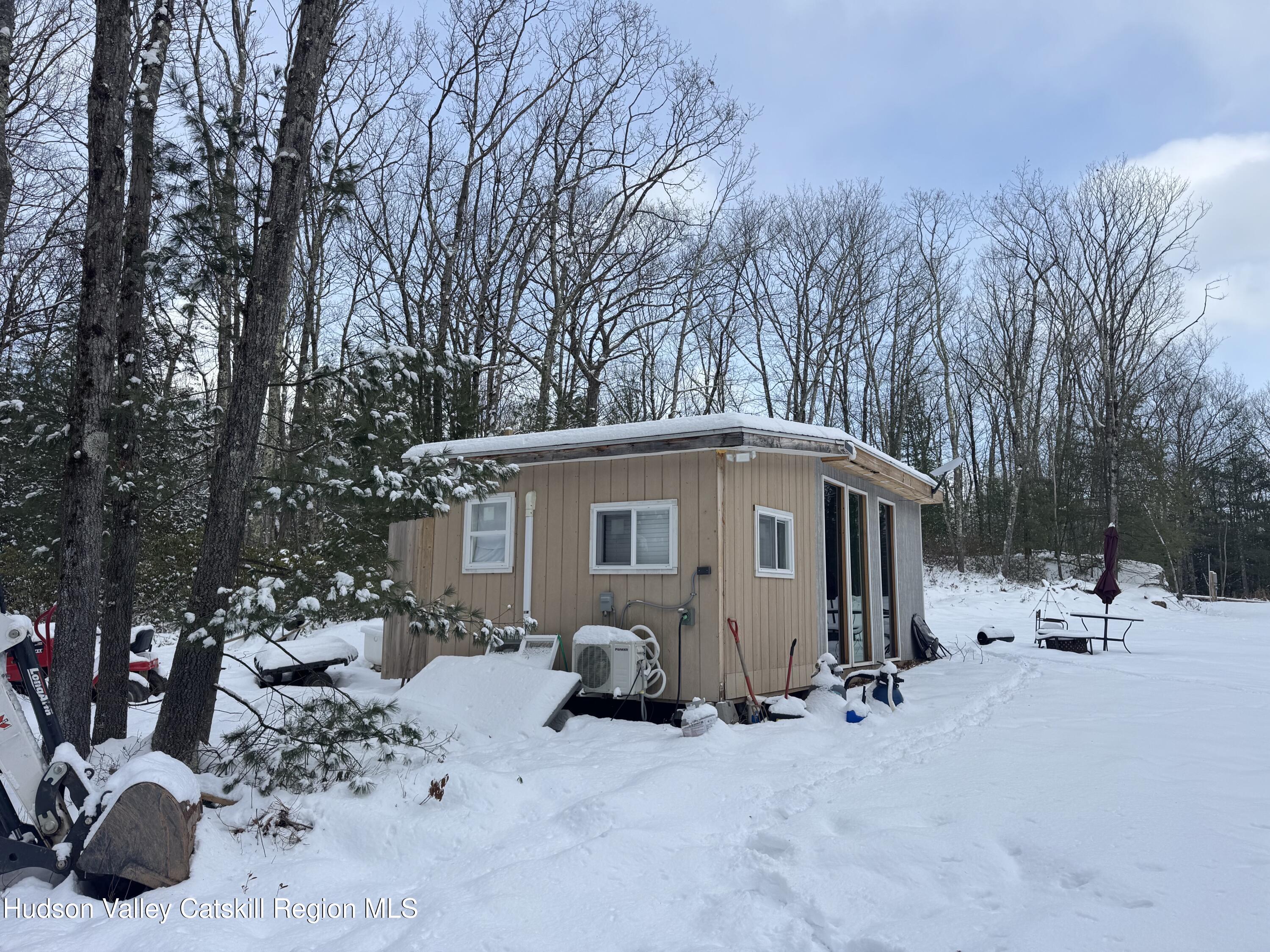 171 Renner Road Mountain Dale, NY 12763 - Photo 16 of 20 a view of a house with a backyard and trees
