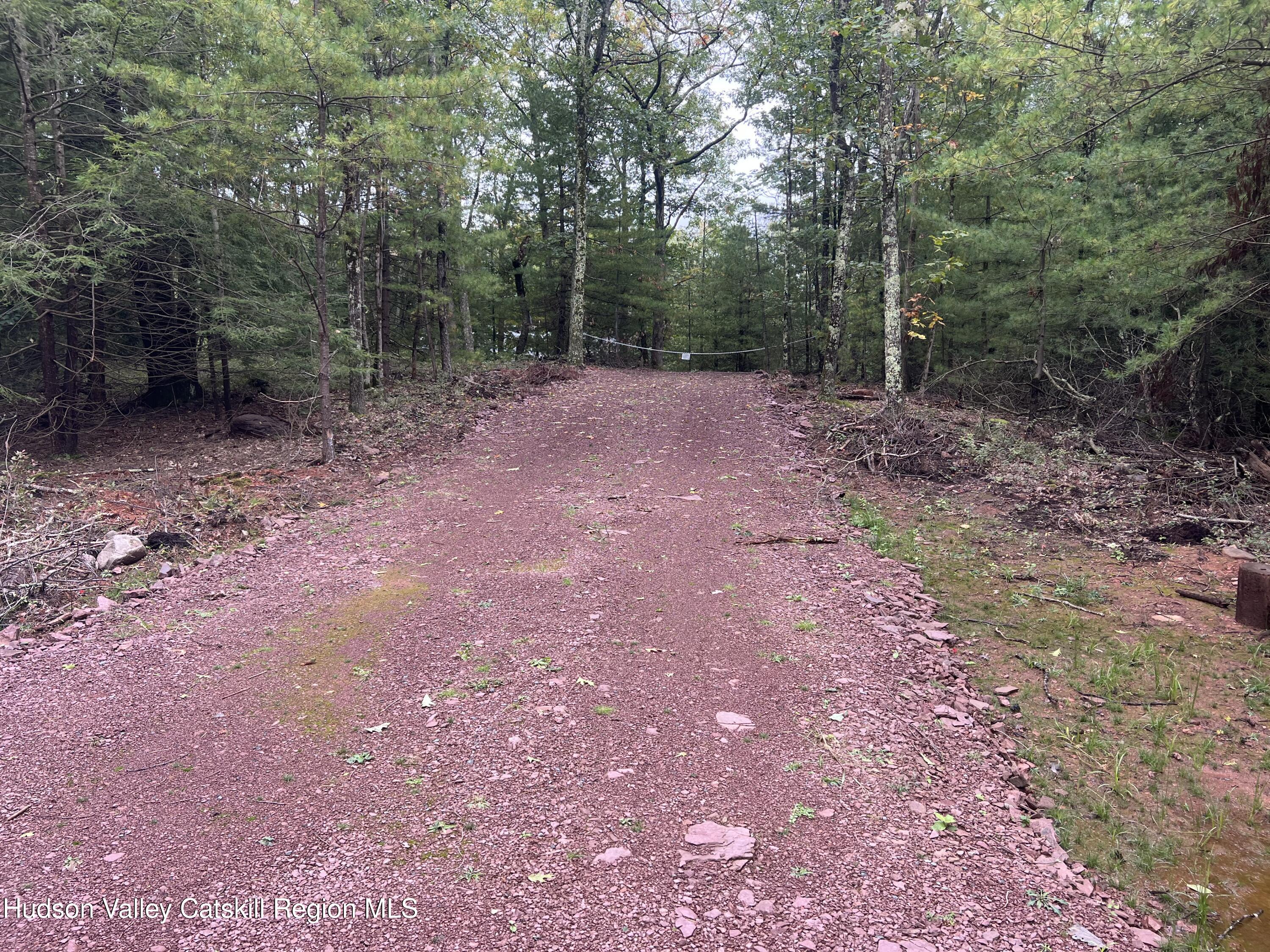 171 Renner Road Mountain Dale, NY 12763 - Photo 18 of 20 a view of a forest with trees in the background