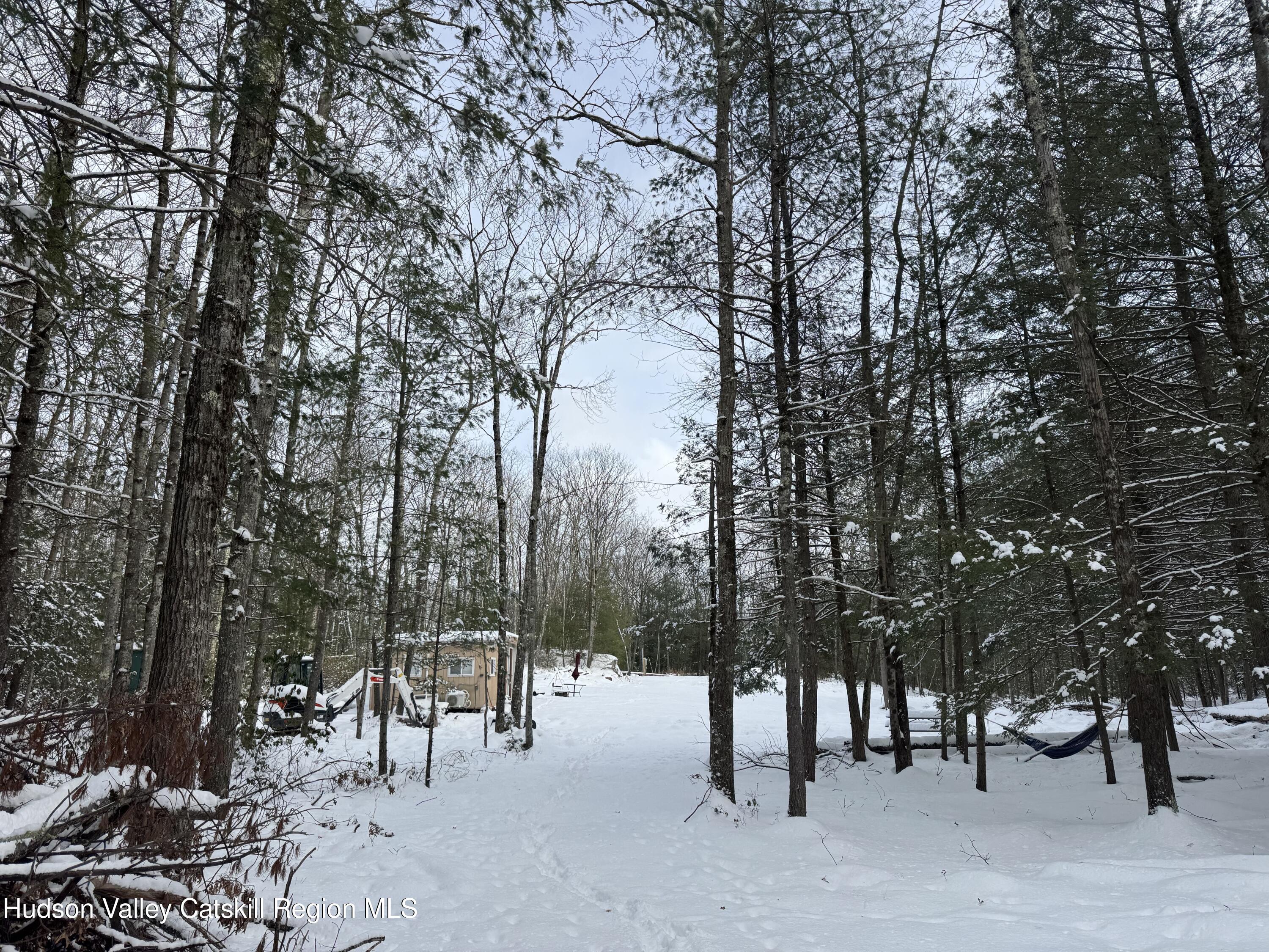 171 Renner Road Mountain Dale, NY 12763 - Photo 4 of 20 a view of a park with trees in the background