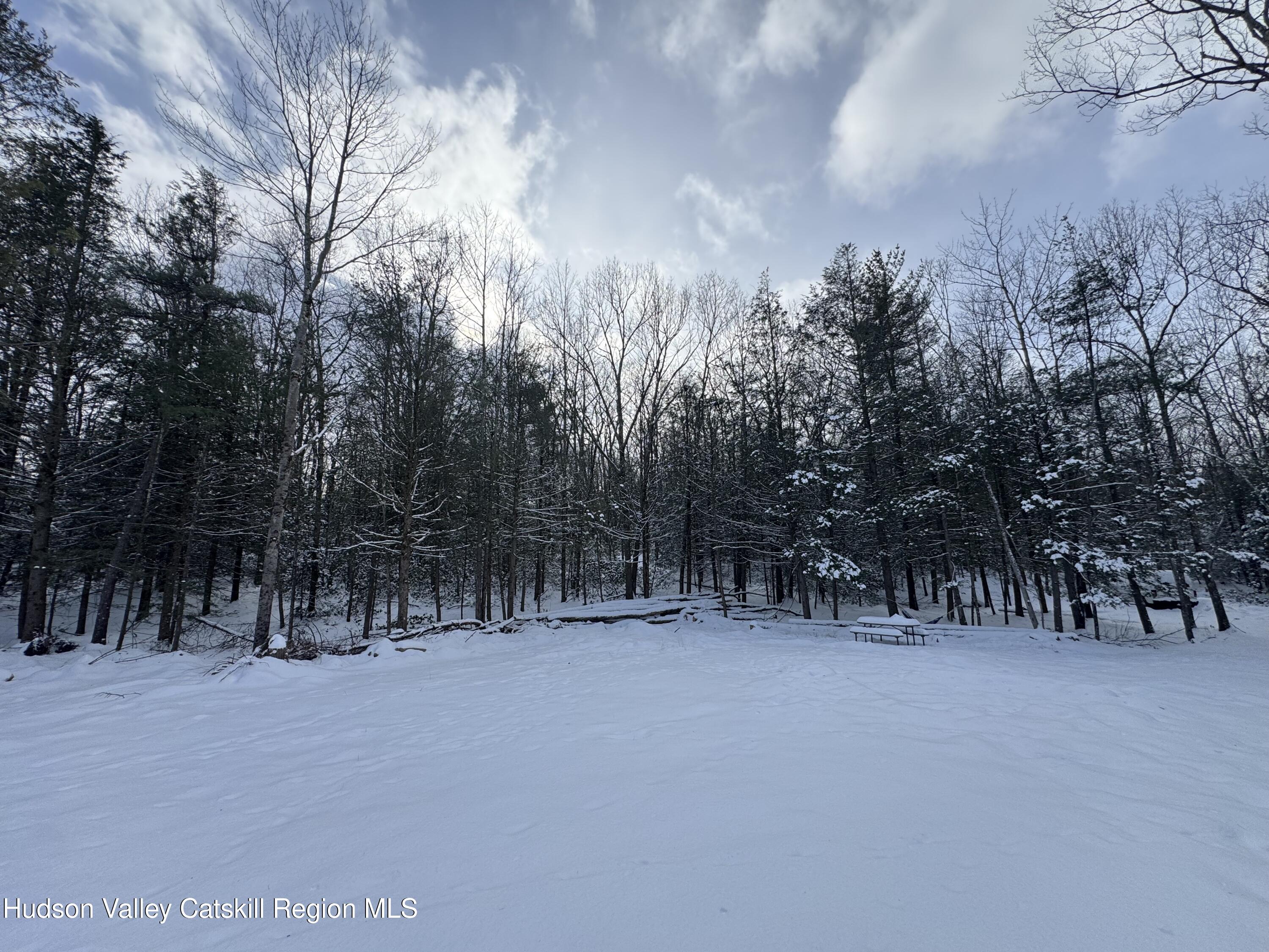 171 Renner Road Mountain Dale, NY 12763 - Photo 6 of 20 a view of house with trees in front of it