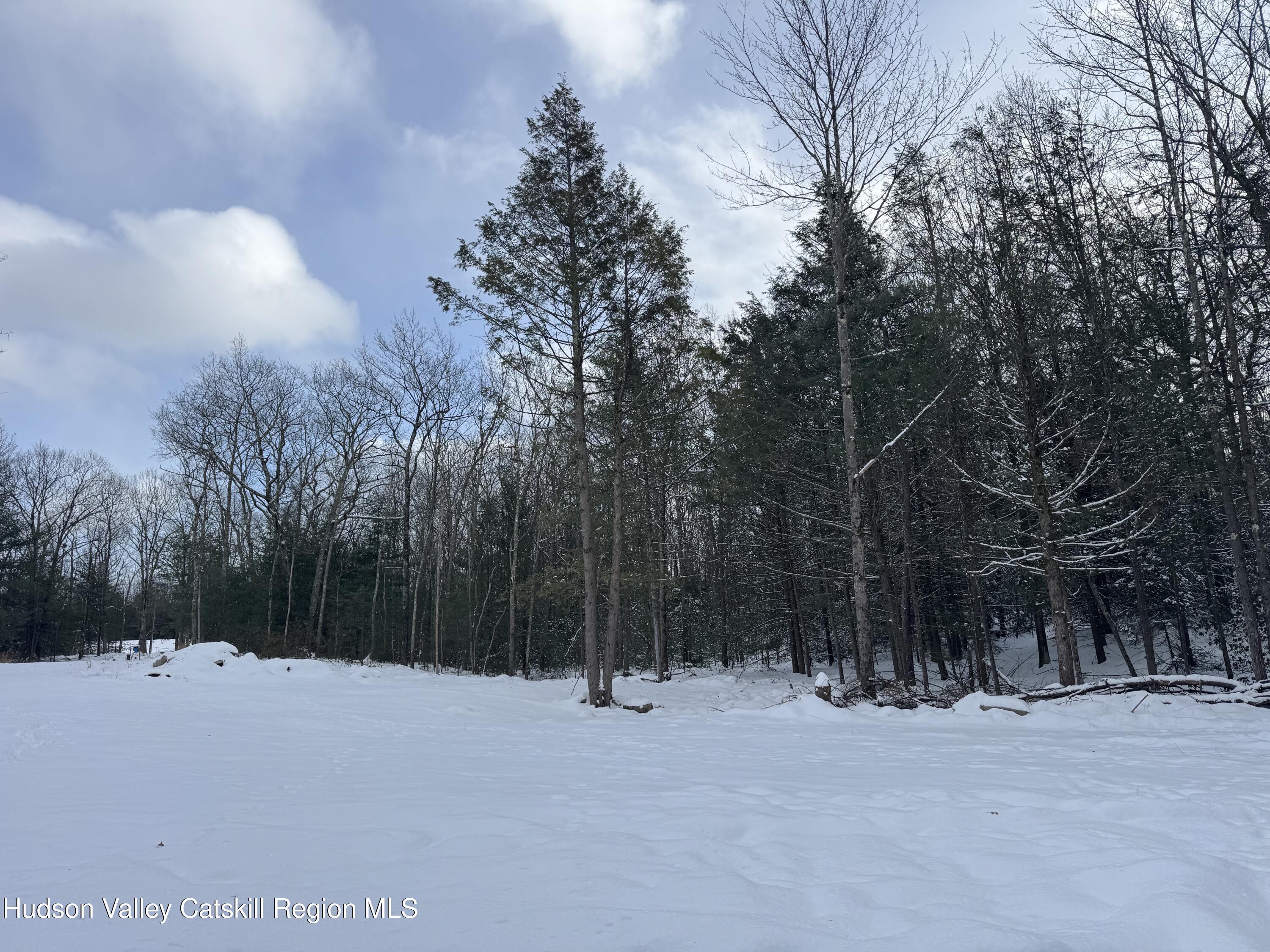 171 Renner Road Mountain Dale, NY 12763 - Photo 8 of 20 a backyard of a house with trees