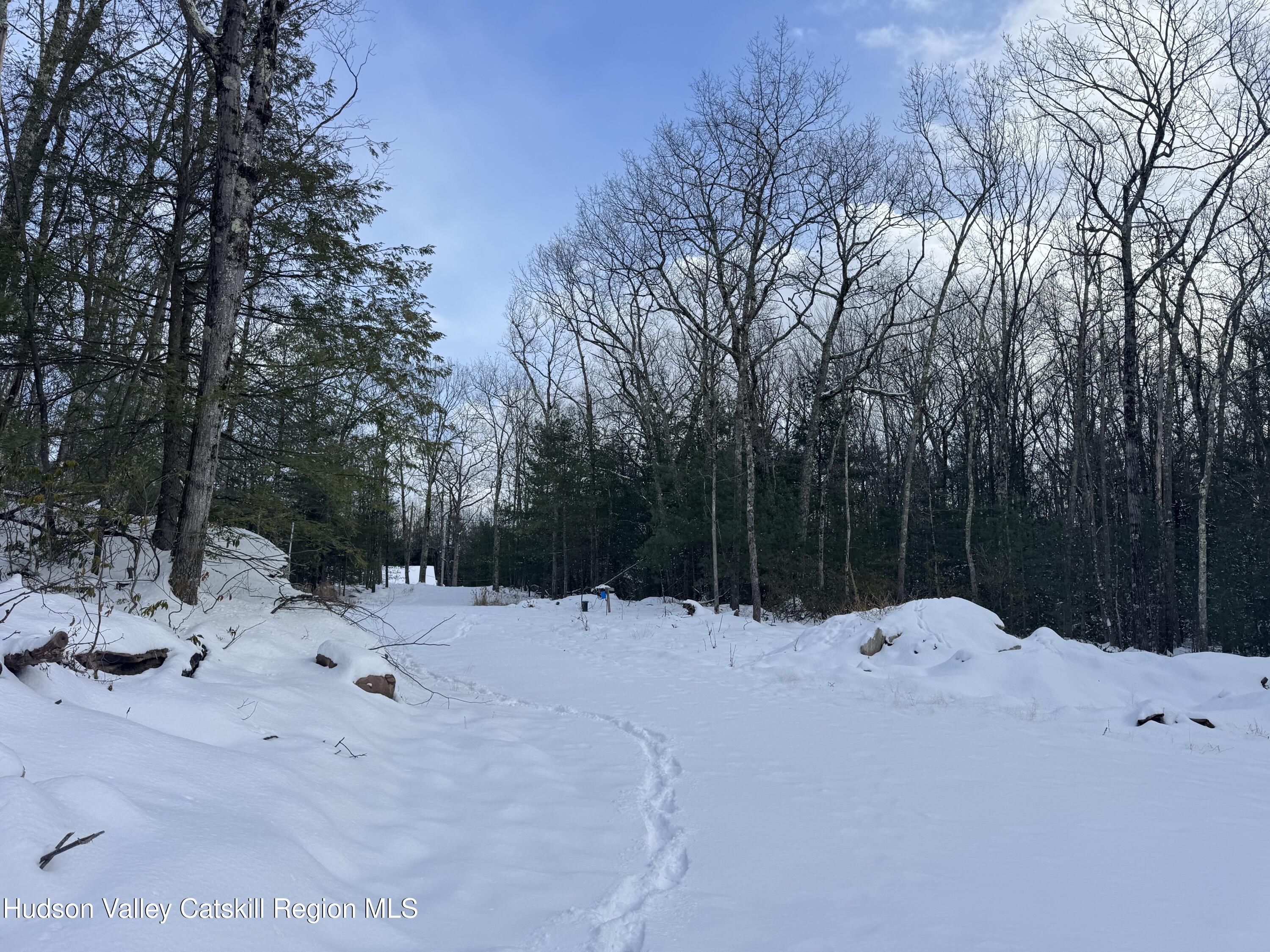171 Renner Road Mountain Dale, NY 12763 - Photo 10 of 20 a outdoor space with view of trees