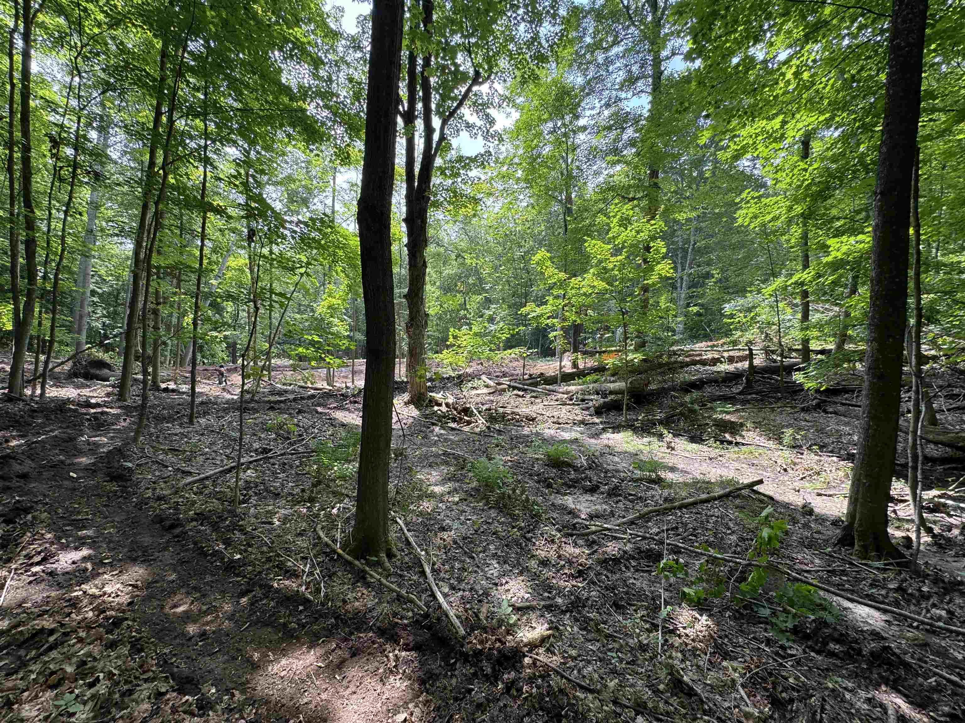 Lot #5 East Bellinger Road, Unit BELLINGER ESTATES LOT: 5 Cedar, MI 49621 - Photo 12 of 20