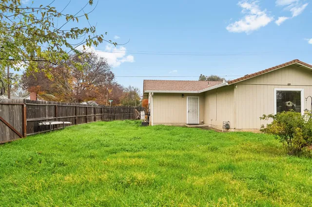a view of a backyard with plants and large trees