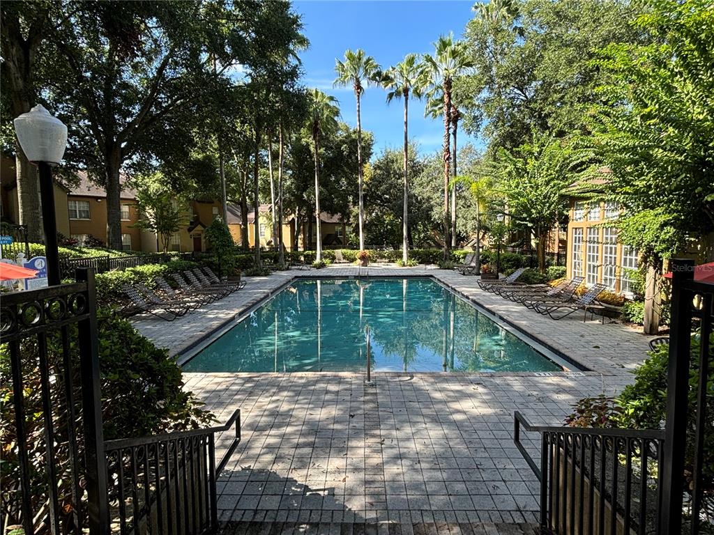 6304 Raleigh Street, Unit 204 Orlando, FL 32835 - Photo 25 of 29 a view of a backyard