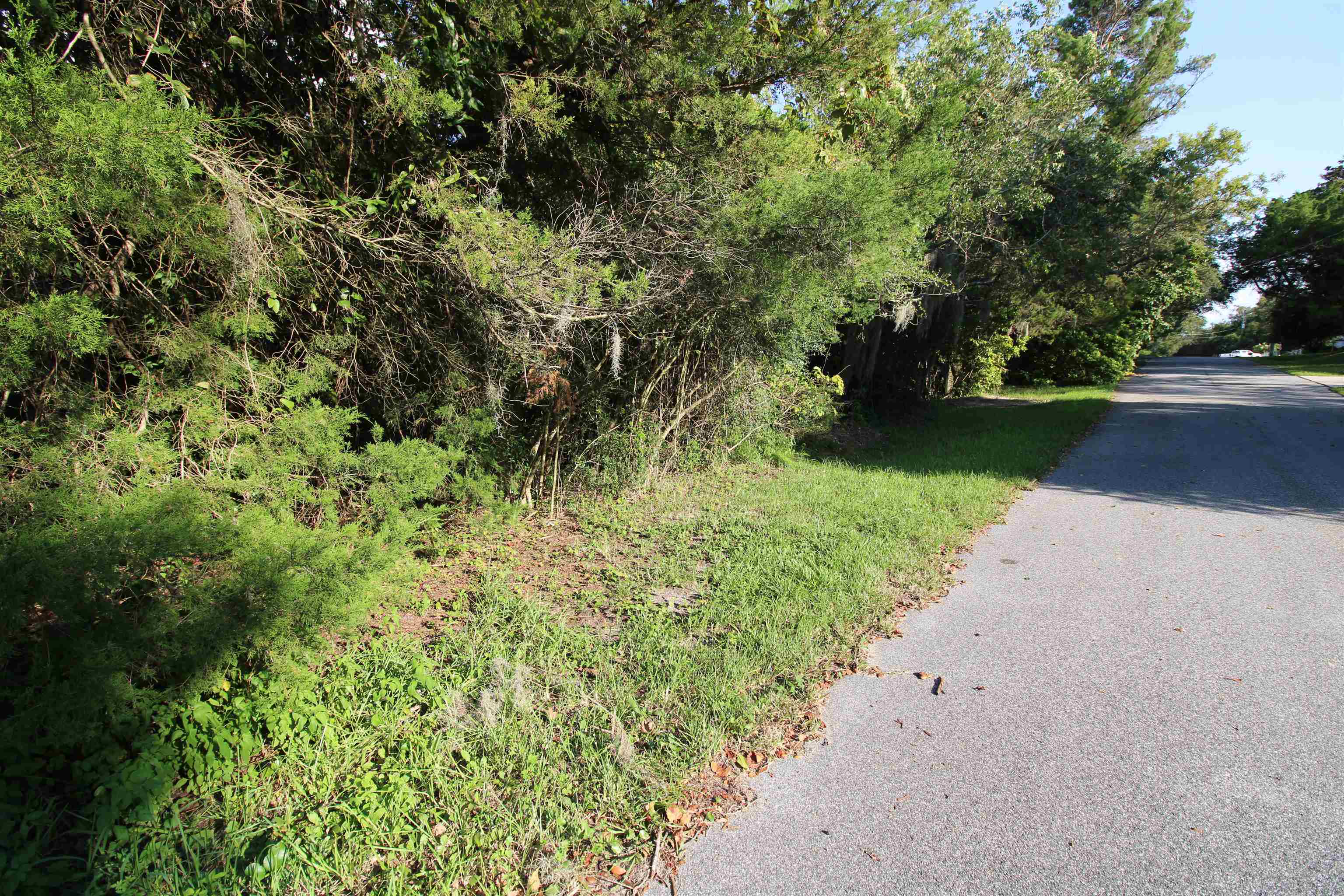 3242 Carmel Road St. Augustine, FL 32086 - Photo 1 of 4 a view of a yard with plants and trees