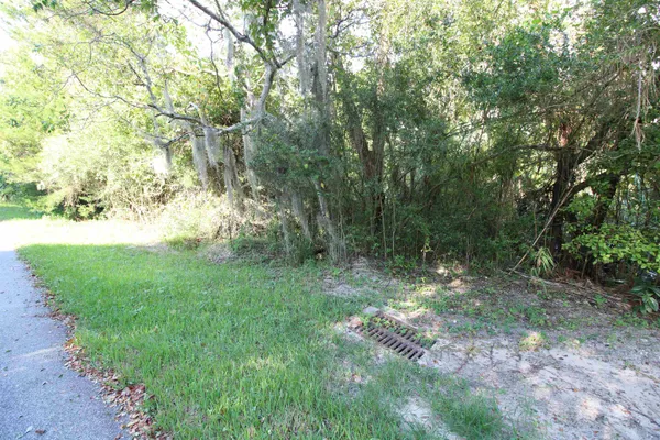 a view of a yard with large trees