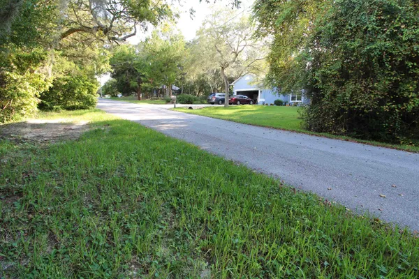 a view of road with trees and trees
