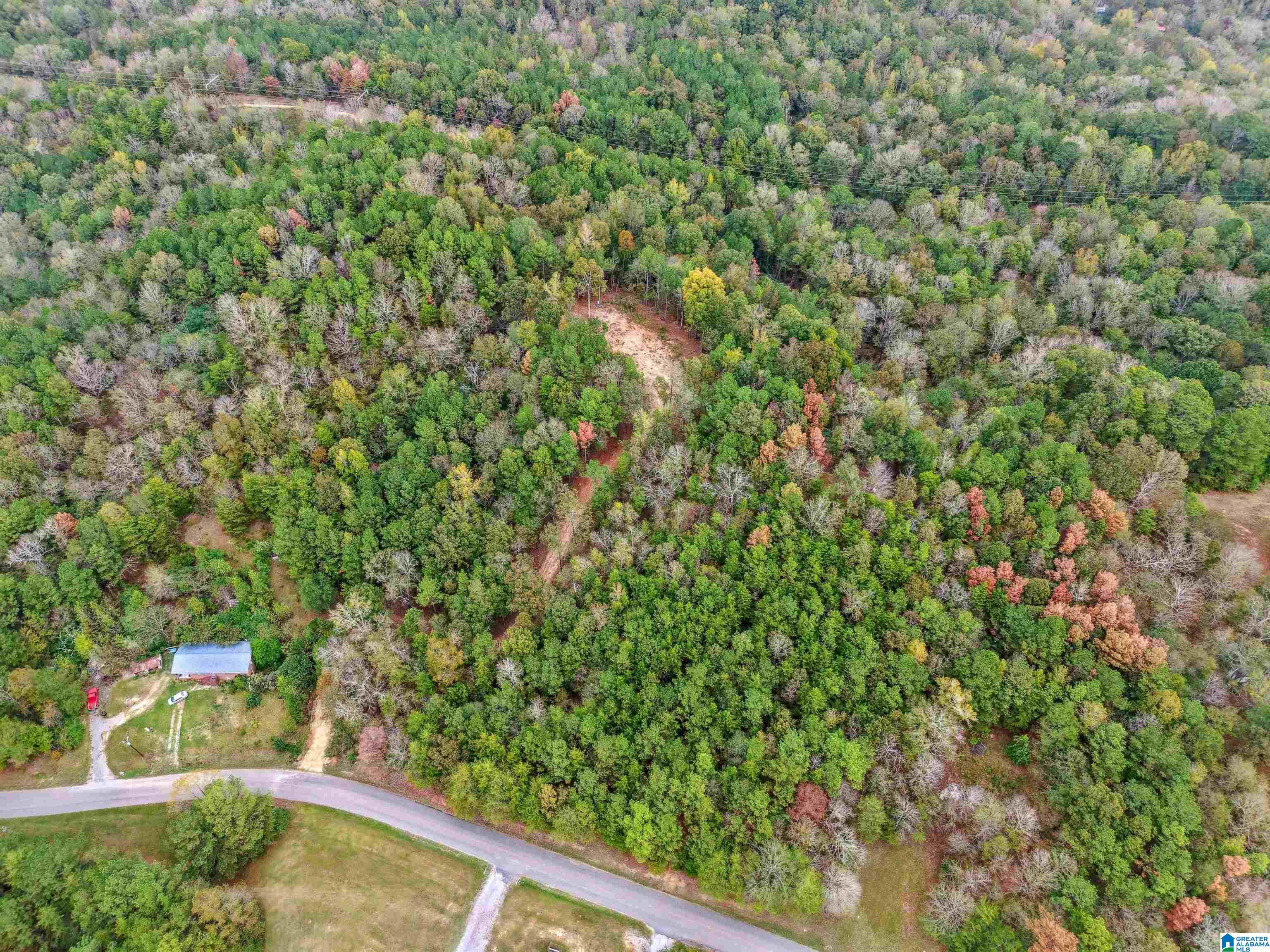 1215 Buddy Vines Camp Road Bessemer, AL 35023 - Photo 13 of 25