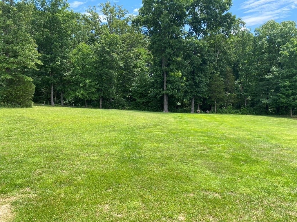 210 Clarks Store Sinking Fork Road Cerulean, KY 42215 - Photo 2 of 45 a view of an outdoor space and a yard