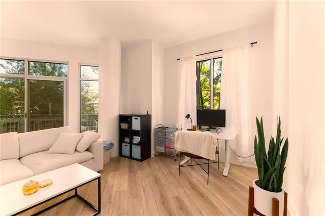a living room with furniture and a potted plant