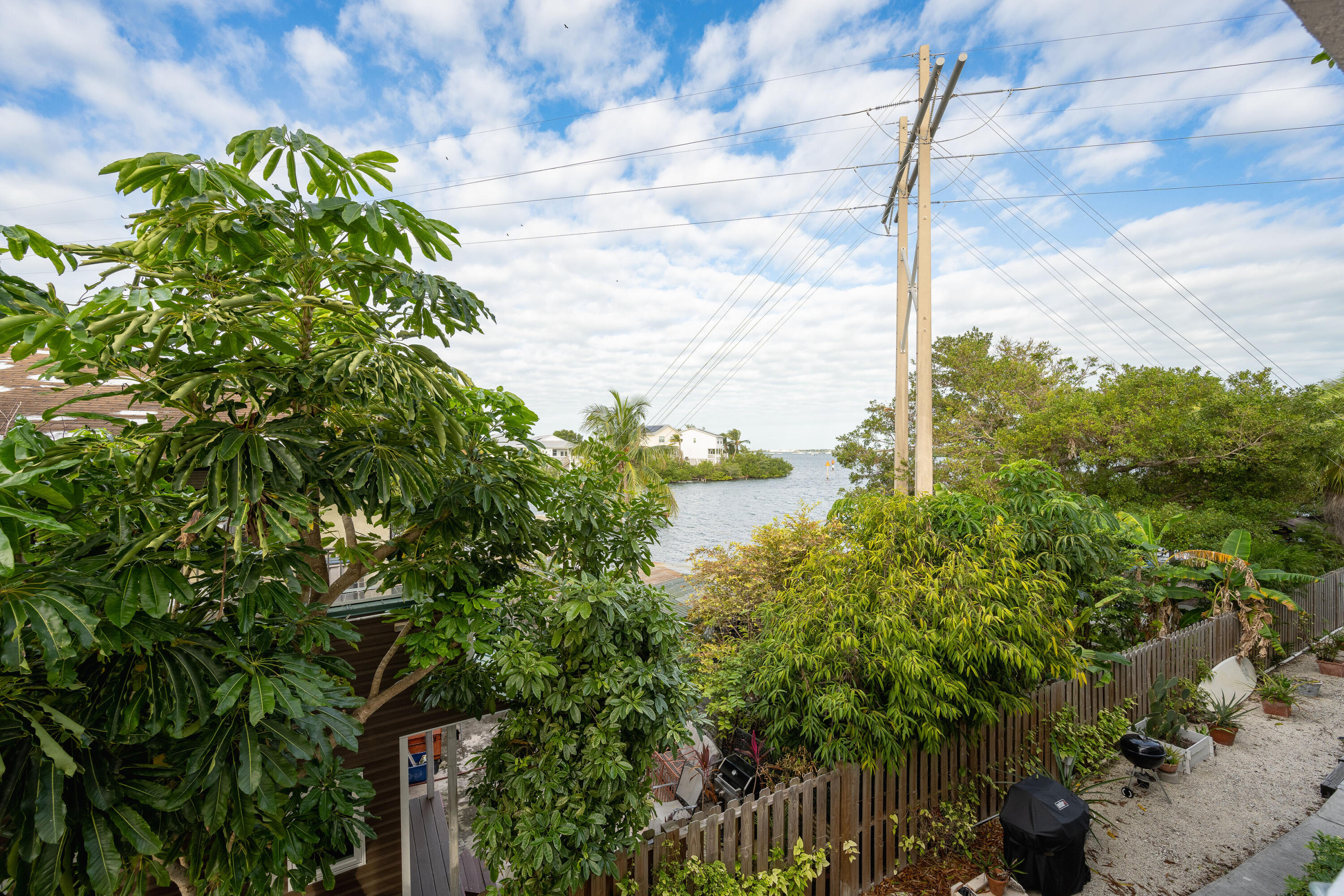 30 Hilton Haven Road, Unit 2A Key West, FL 33040 - Photo 13 of 42 a close up of a plant in a garden