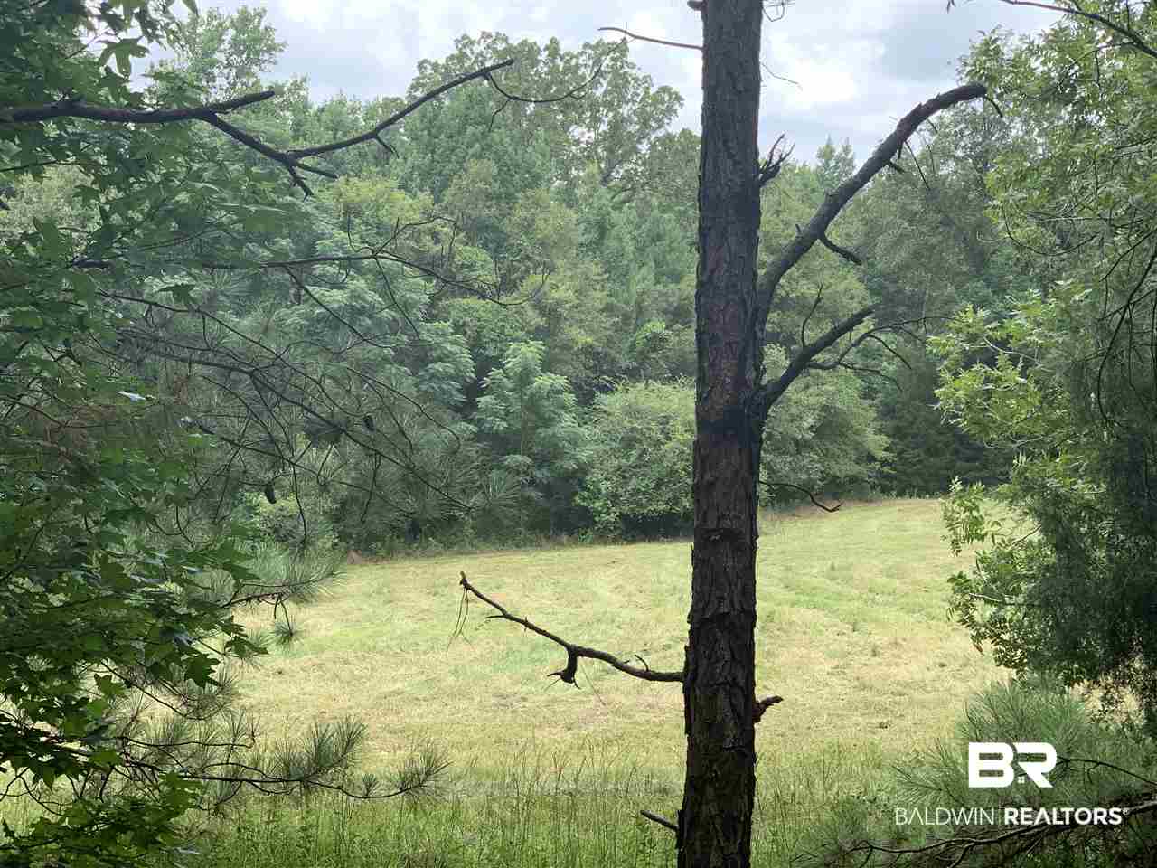 1178 Dry Lake Road Luverne, AL 36049 - Photo 17 of 50