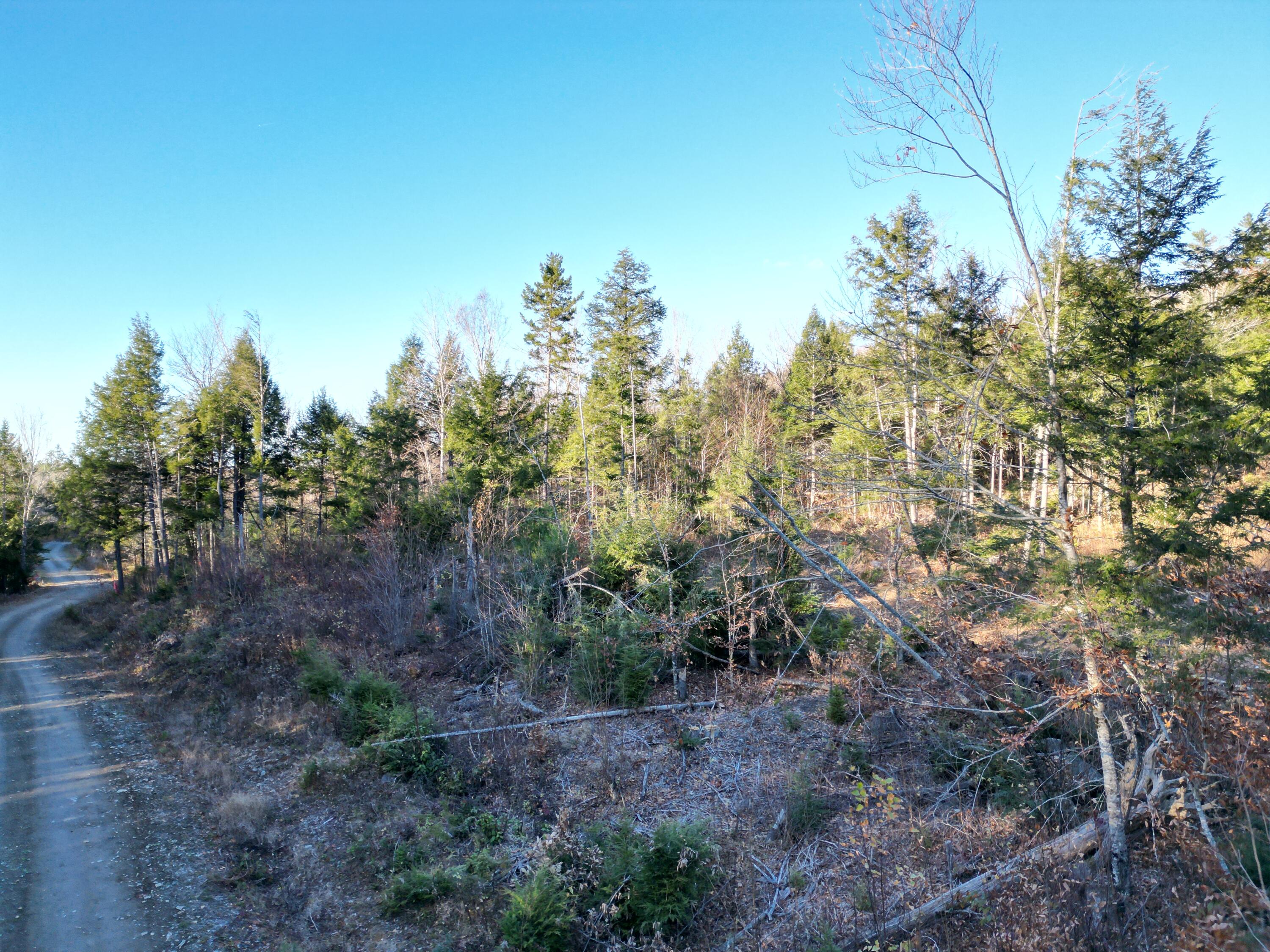 Lot 11 Ghost Road Springfield, ME 04487 - Photo 2 of 10 DJI_0932