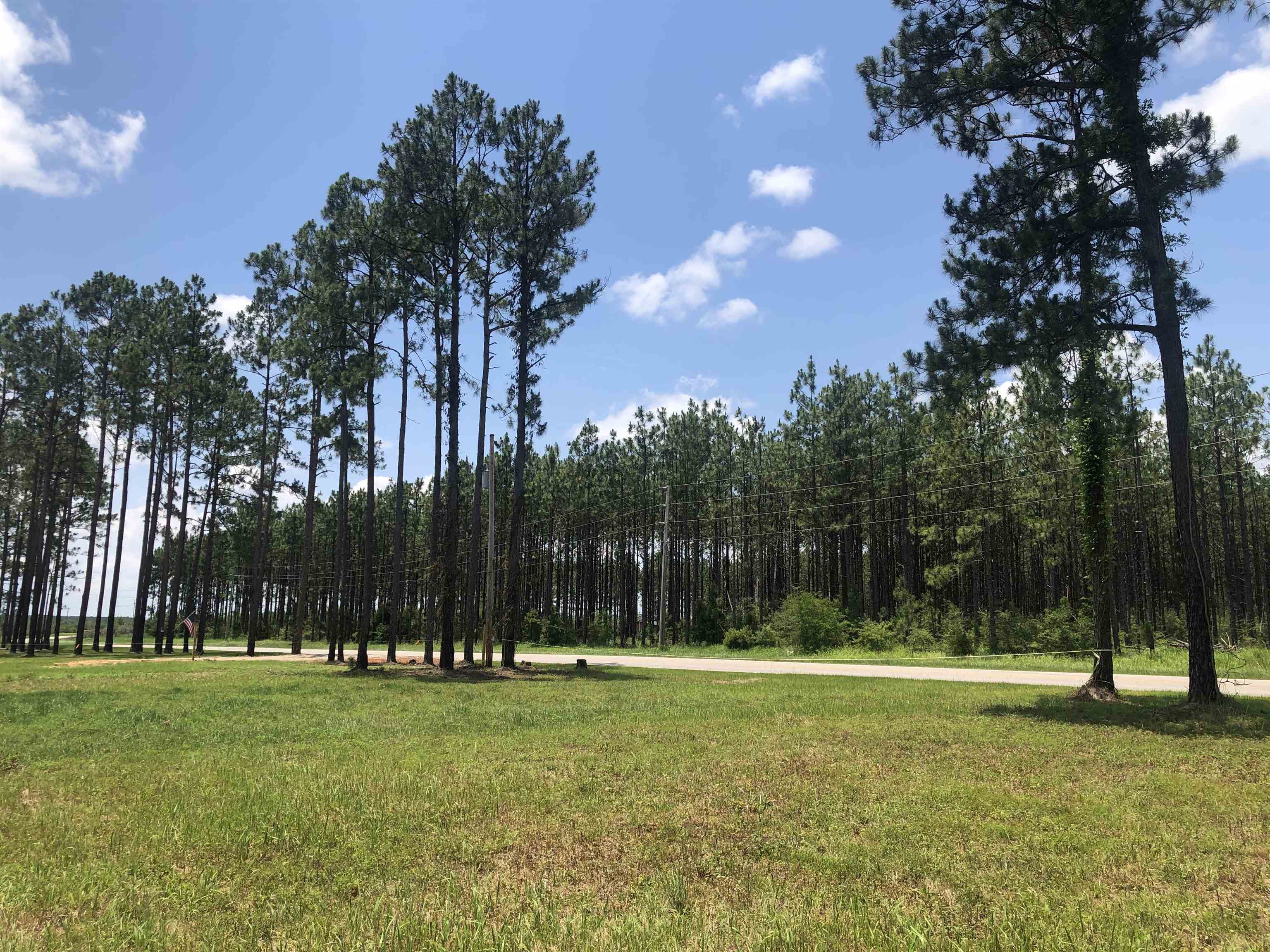 32642 County Road 64 Extension Robertsdale, AL 36567 - Photo 1 of 7