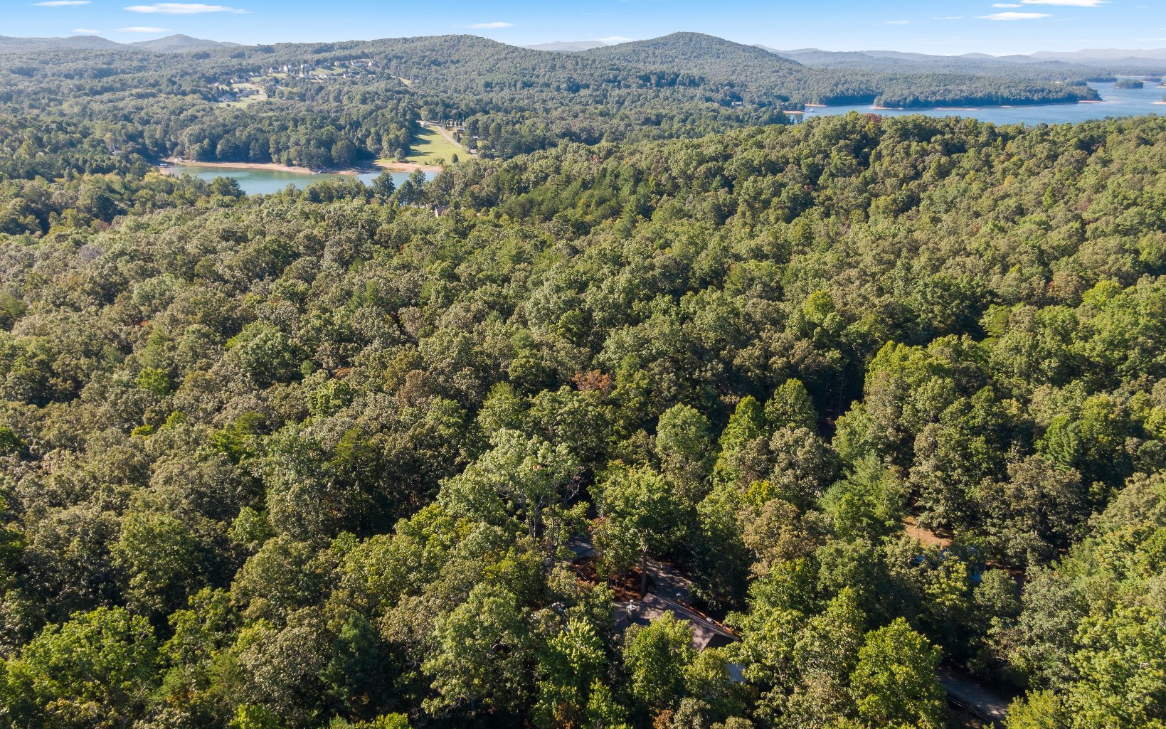 308 Honaker Road Blairsville, GA 30512 - Photo 6 of 54 Additional View