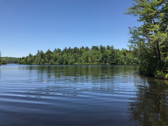 94 Anderson Road Stoddard, NH 03464 - Photo 1 of 18 Gallery Image 1