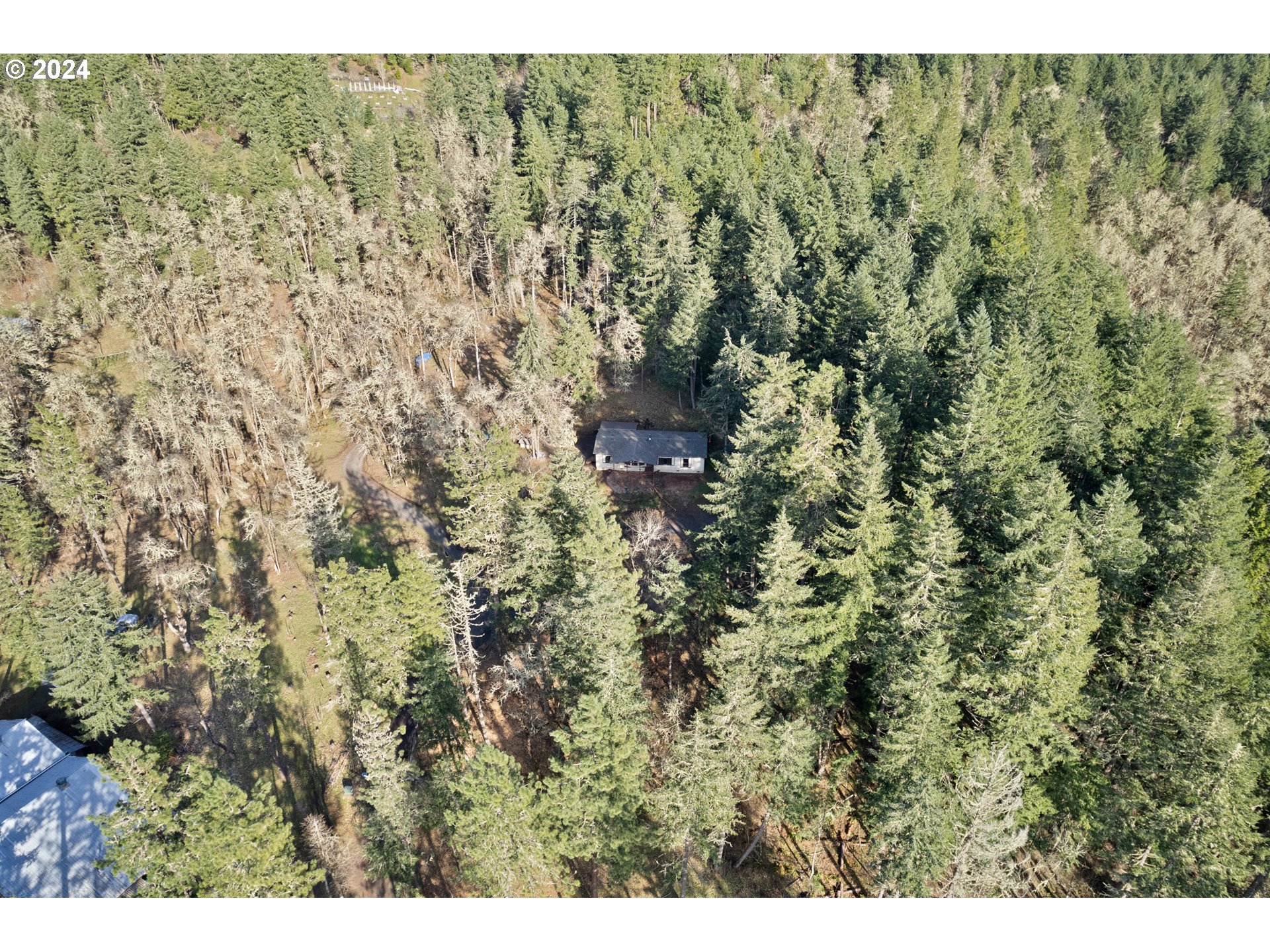 84567 Laughlin Road Eugene, OR 97405 - Photo 27 of 31 Gallery Image 27