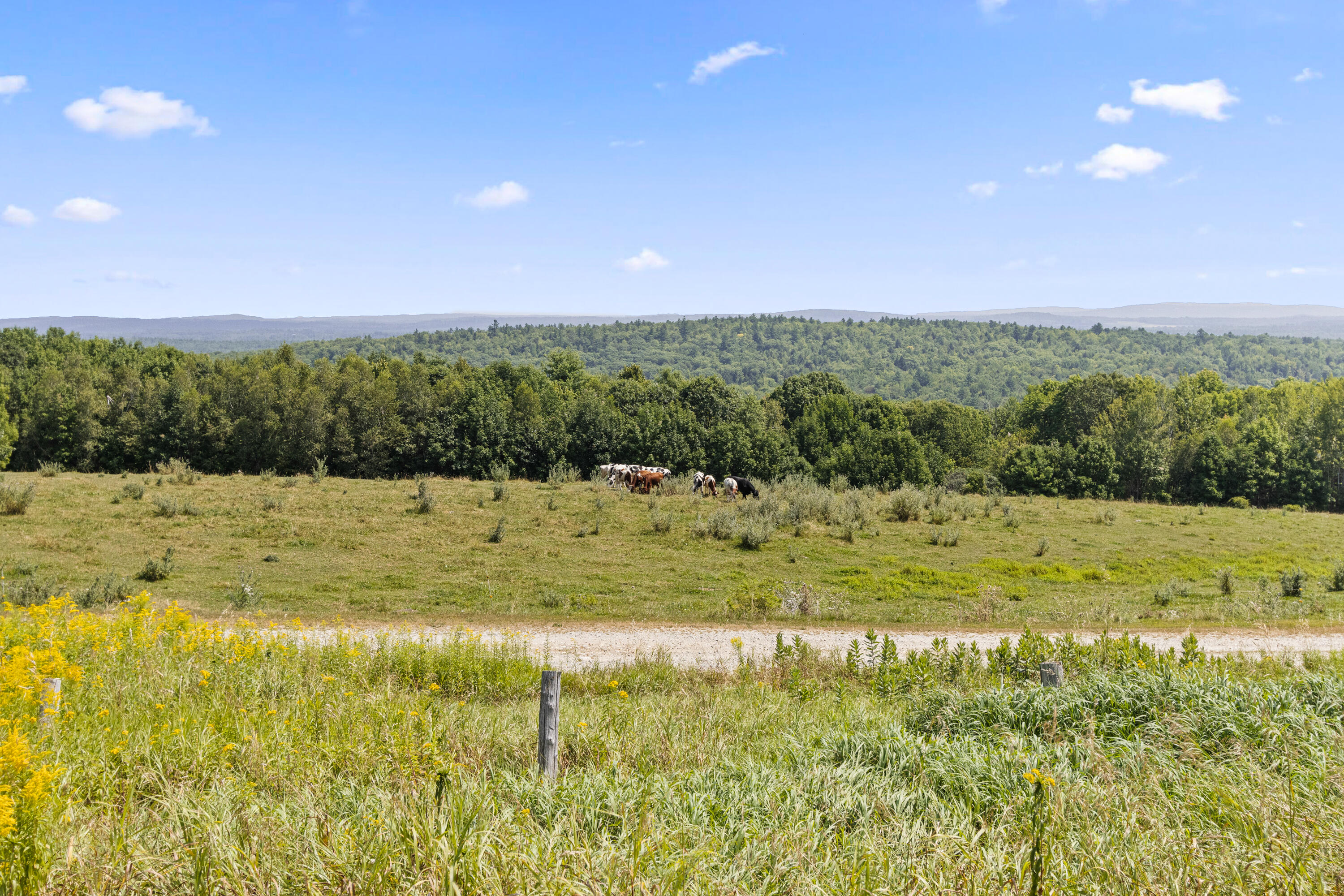 52 Richmond Hill Road Livermore, ME 04253 - Photo 80 of 94 20250811MV-72086