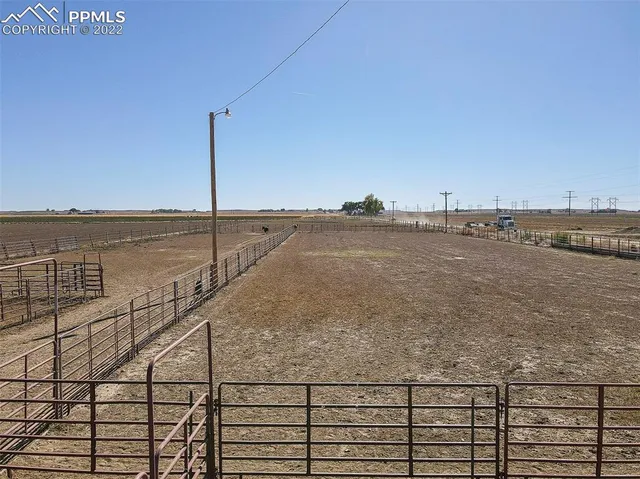 a vase of flowers sitting on a table