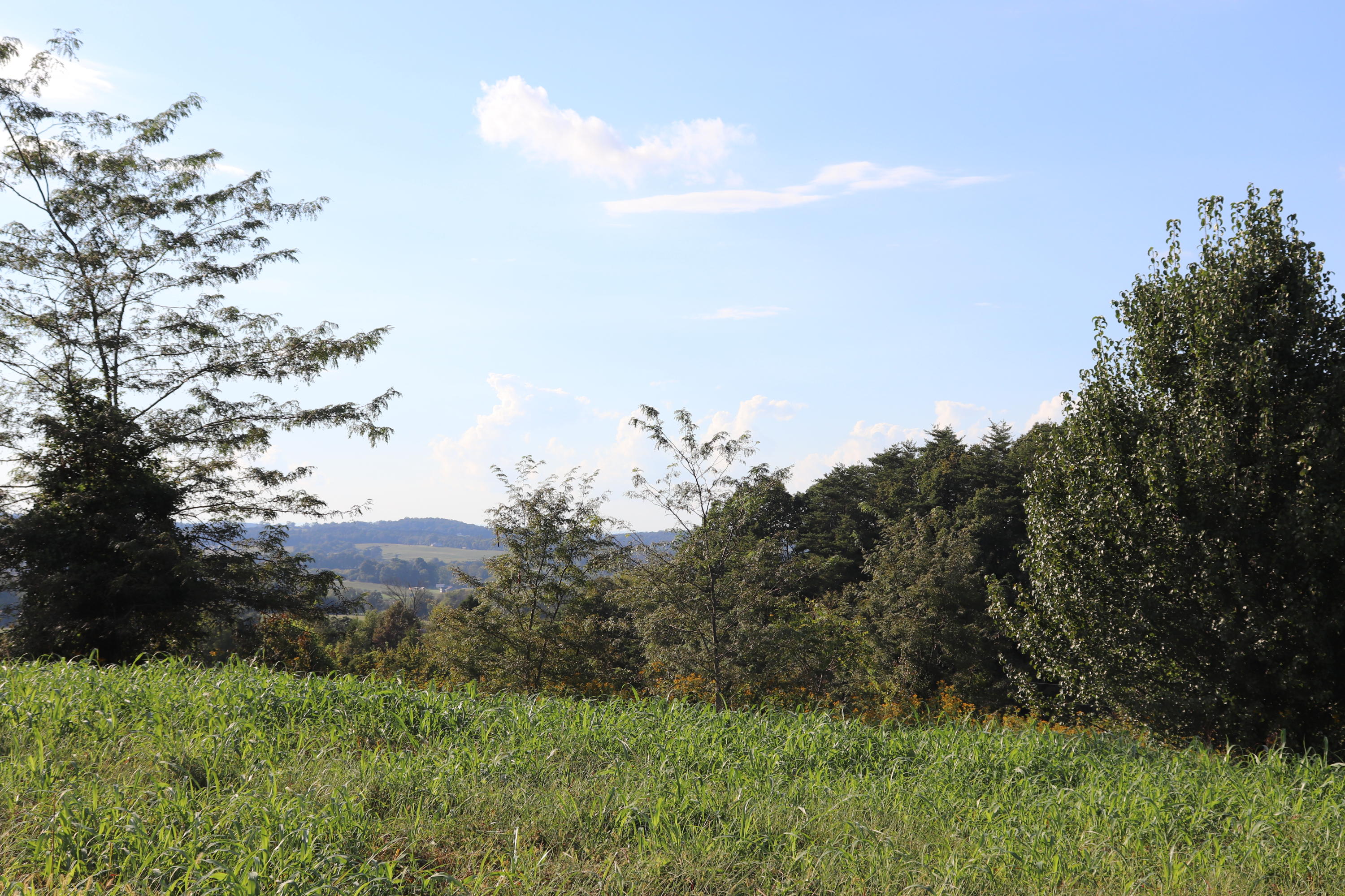Lot 35 Hunter Ridge Farm Sweetwater, TN 37874 - Photo 3 of 3 IMG_0108