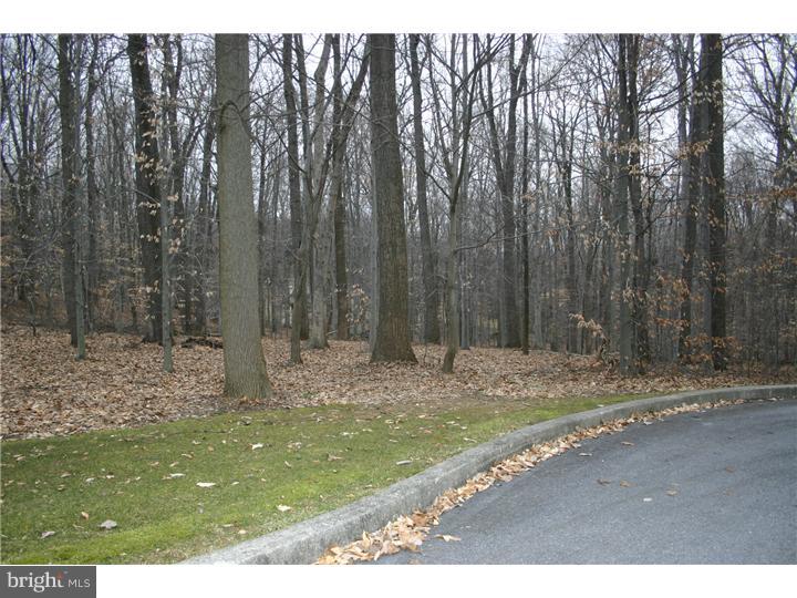 21 Spring Meadow Drive Downingtown, PA 19335 - Photo 1 of 6 a view of a backyard