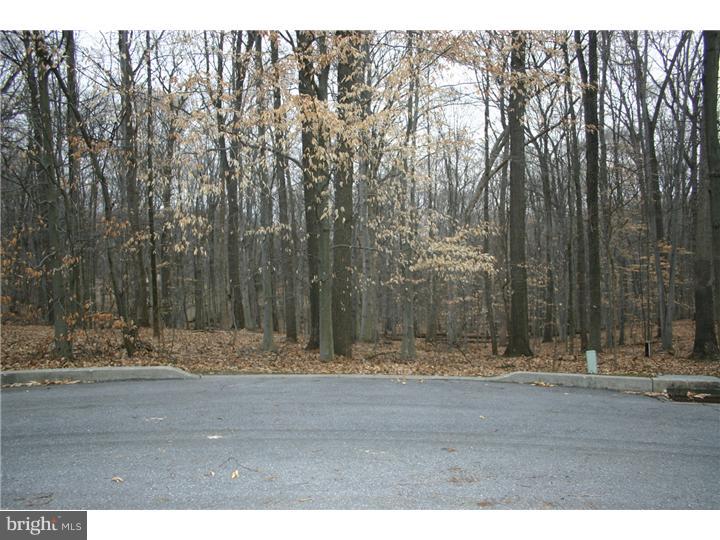 21 Spring Meadow Drive Downingtown, PA 19335 - Photo 2 of 6 a view of a yard with large trees