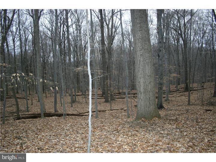 21 Spring Meadow Drive Downingtown, PA 19335 - Photo 4 of 6 a backyard of a house