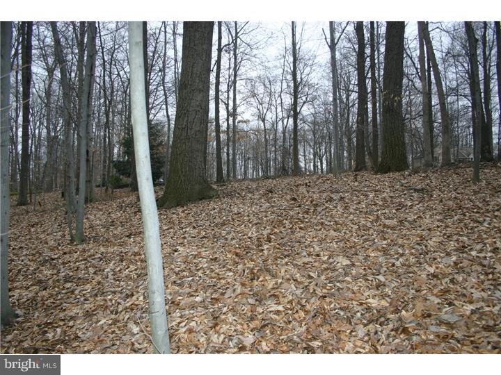21 Spring Meadow Drive Downingtown, PA 19335 - Photo 6 of 6 a view of a backyard