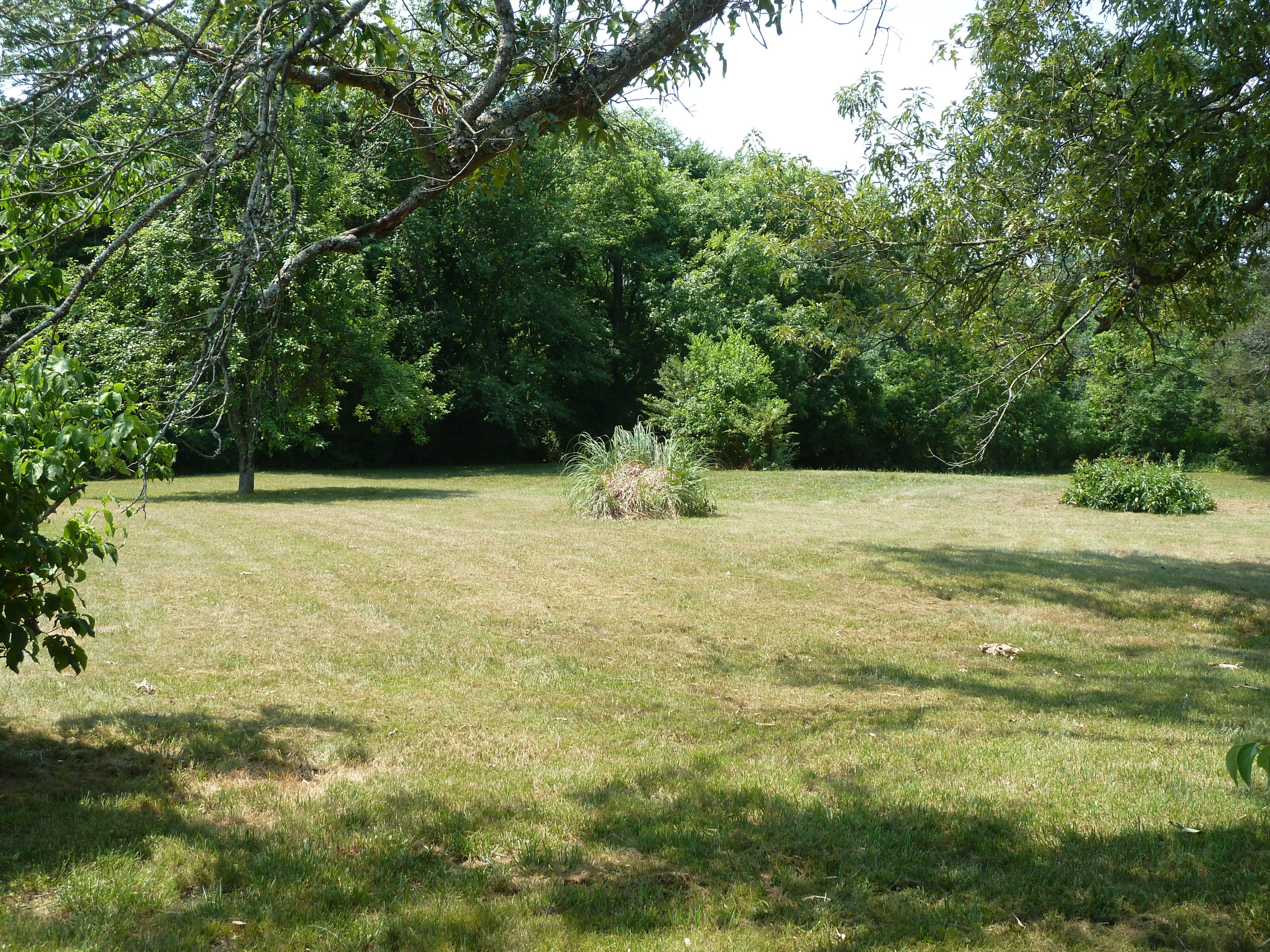 5103 Roberts Road Corryton, TN 37721 - Photo 11 of 16 aRoberts Rd, 5103 6-14-11 090 (5)